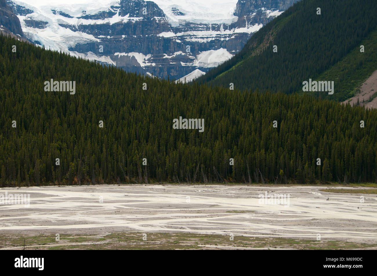 Sunwapta River bei Stutfield Glacier Viewpoint, Jasper National Park, Alberta, Kanada Stockfoto