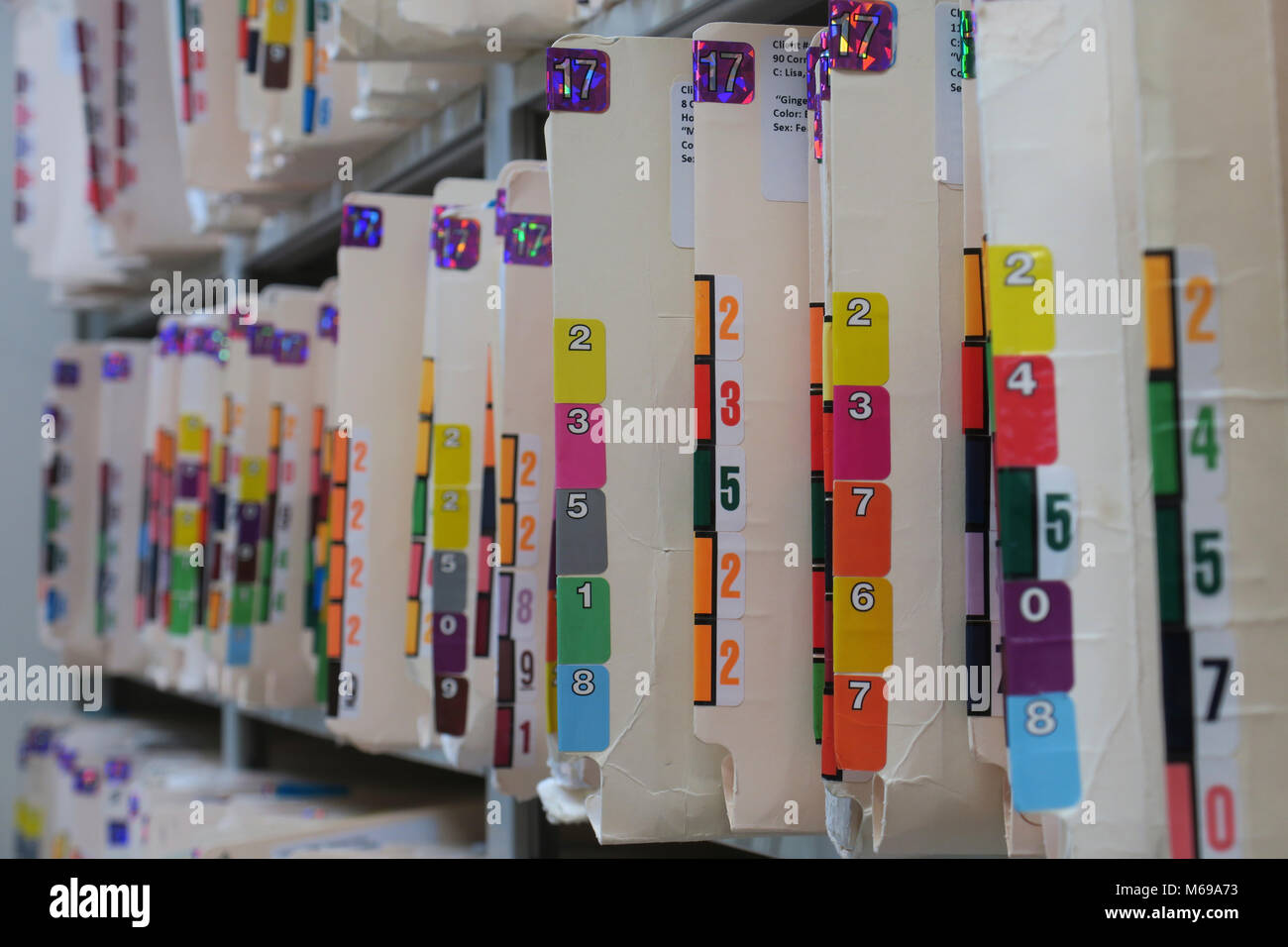 Medizinische Aufzeichnungen auf einem Regal gelagert Stockfoto
