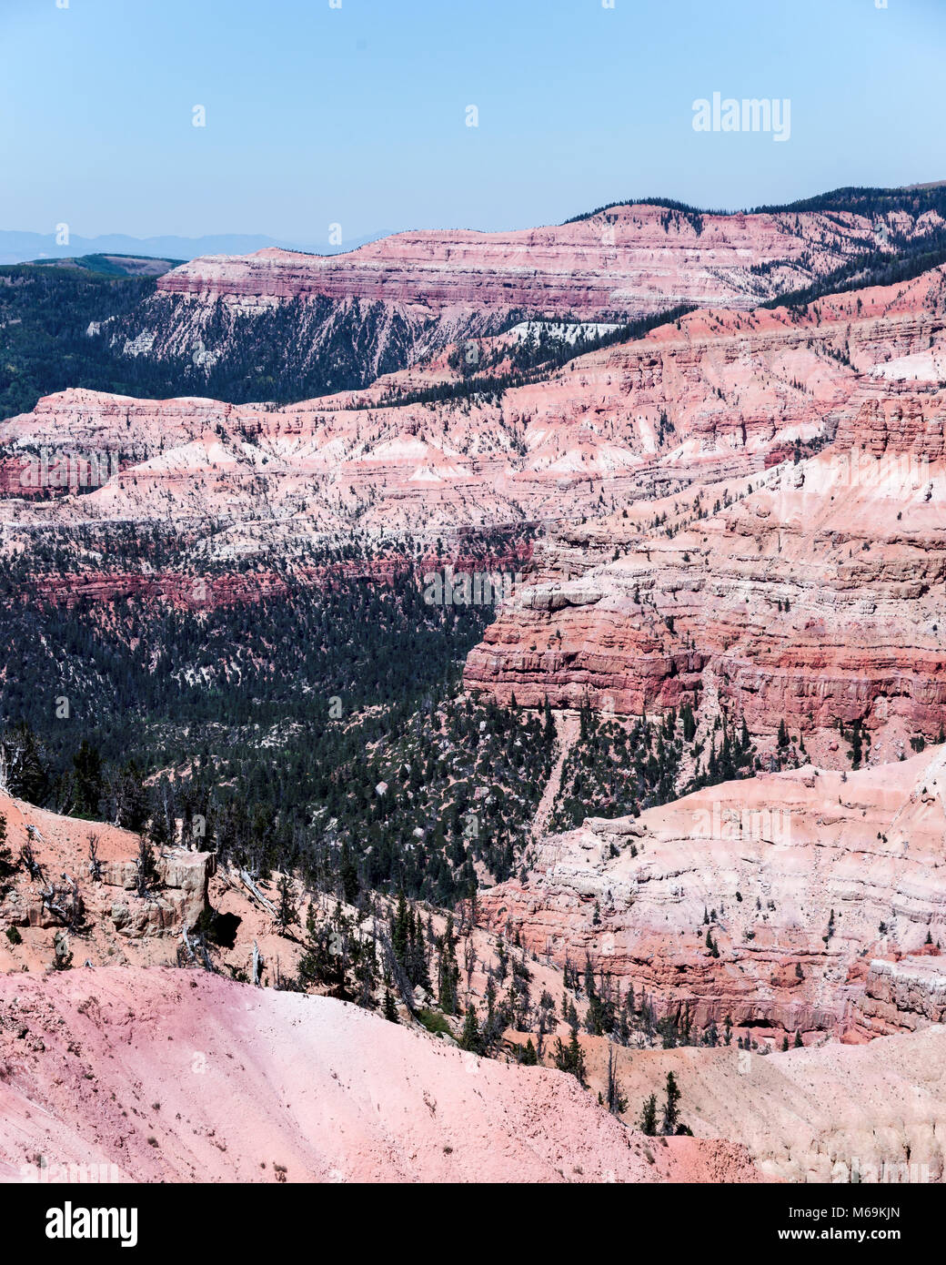 Die atemberaubenden Farben der Utah Cedar Breaks National Monument Stockfoto