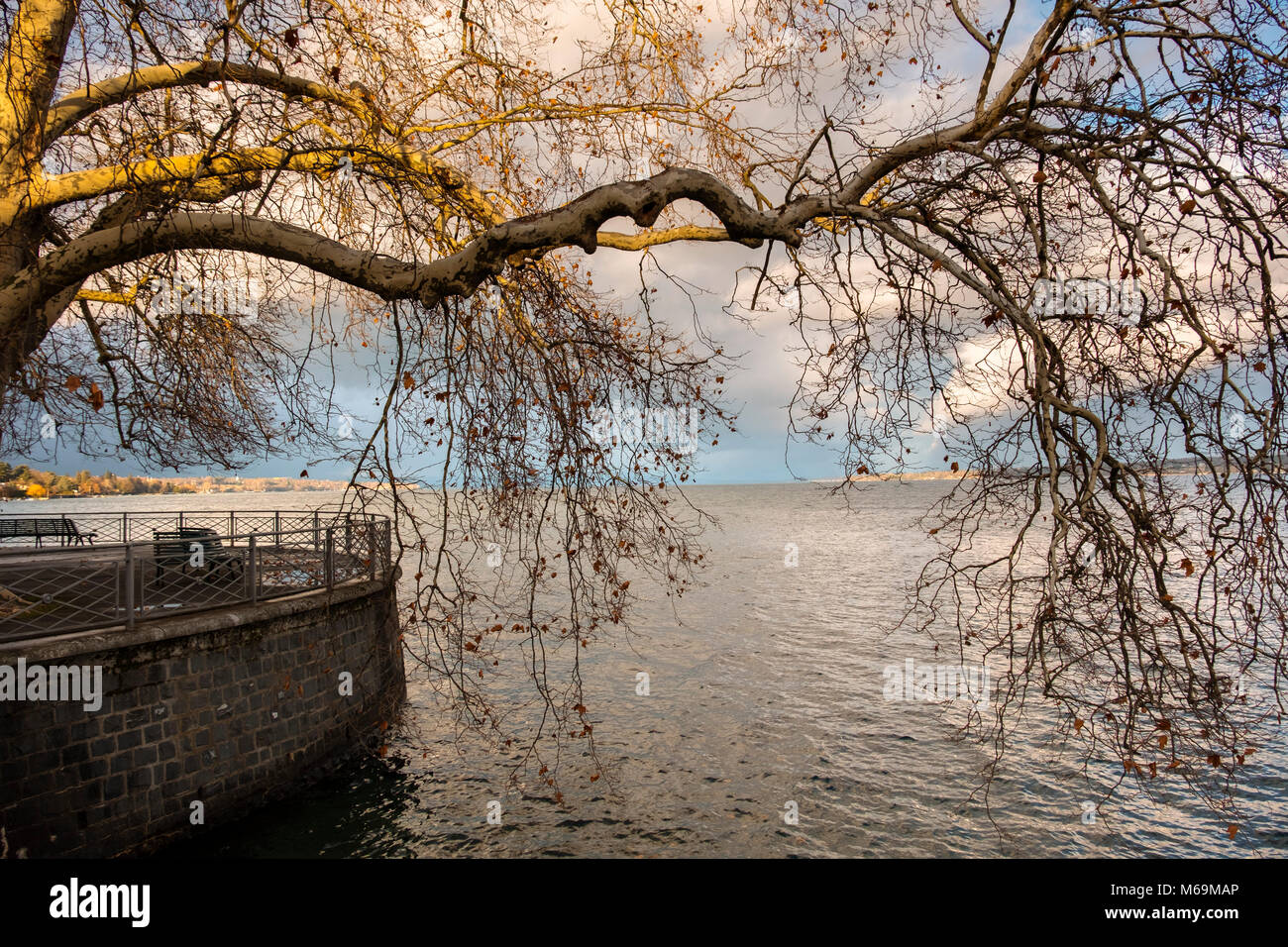 Leman See entfernt. Altstadt, historisches Zentrum. Genève Suisse. Genf. Schweiz Europa Stockfoto