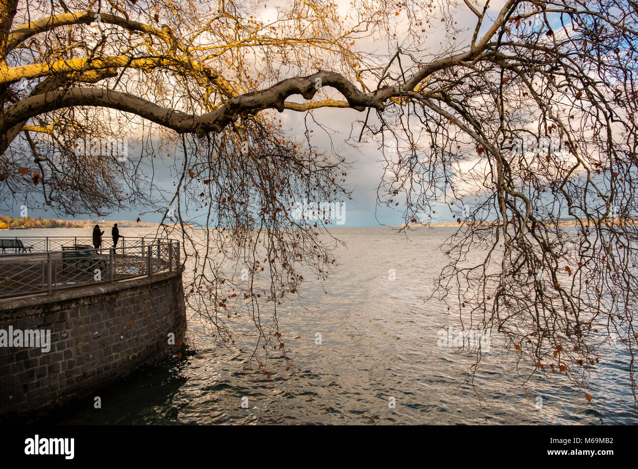 Leman See entfernt. Altstadt, historisches Zentrum. Genève Suisse. Genf. Schweiz Europa Stockfoto