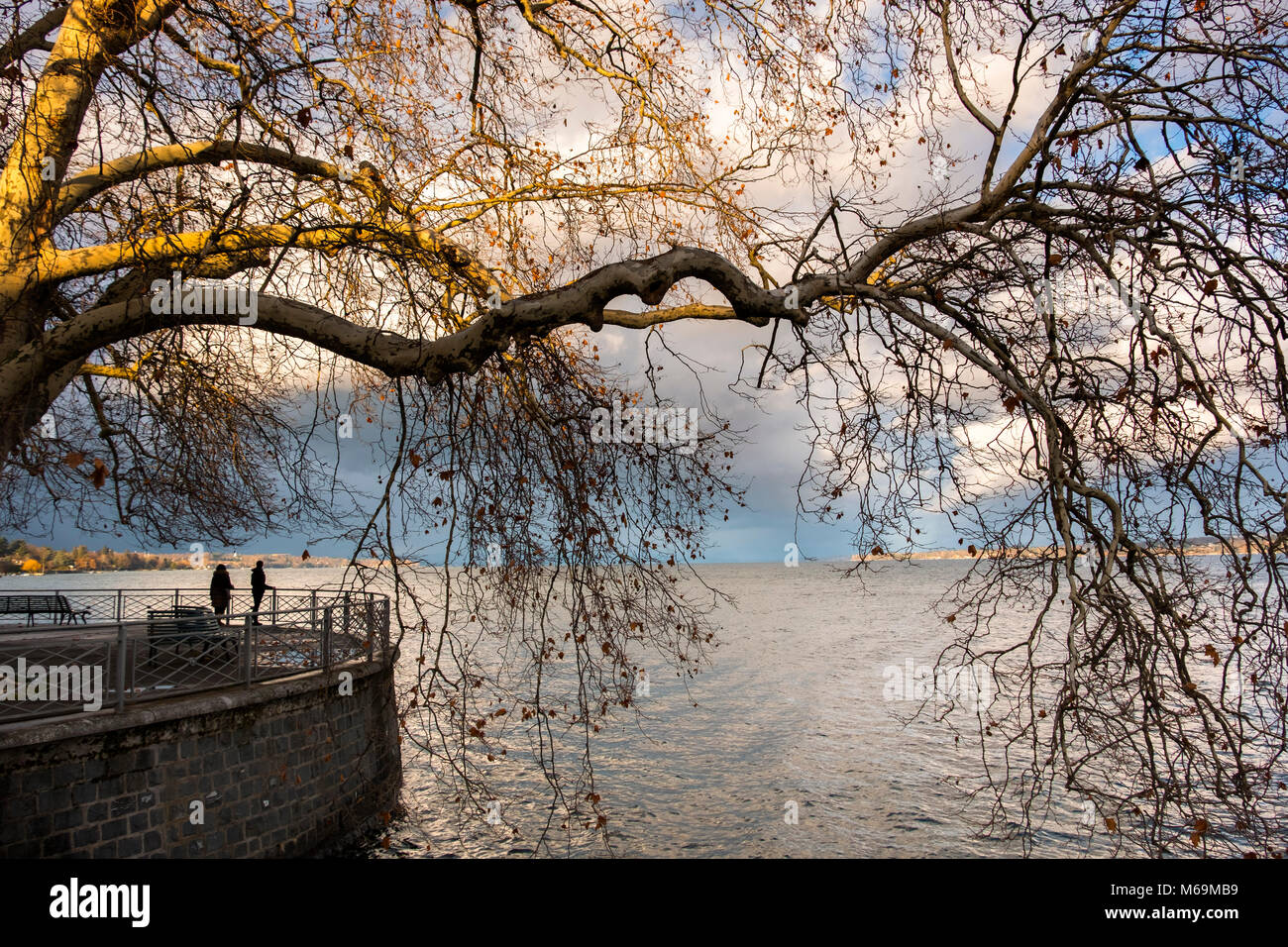 Leman See entfernt. Altstadt, historisches Zentrum. Genève Suisse. Genf. Schweiz Europa Stockfoto