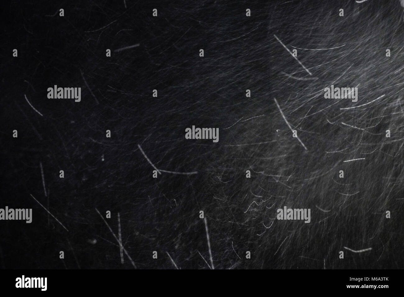 Bont Goch Aberystwyth, Ceredigion West Wales, 3:30, 2. Sep 2018. Schneeflocken durchgebrannt durch Sturm Emma mit Hilfe von das Tier aus dem Osten Credit: Giles W Bennet/Alamy leben Nachrichten Stockfoto