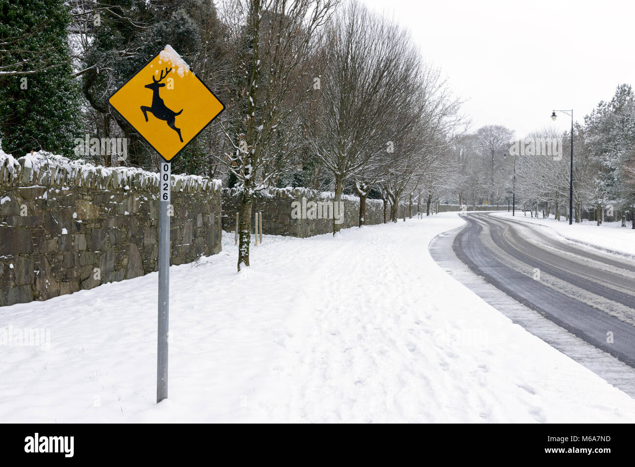 Snow Ireland Straßenhüpfende Hirsche Warnung gelbes Straßenschild im Schnee in Mission Road, Killarney, County Kerry, Irland Stockfoto