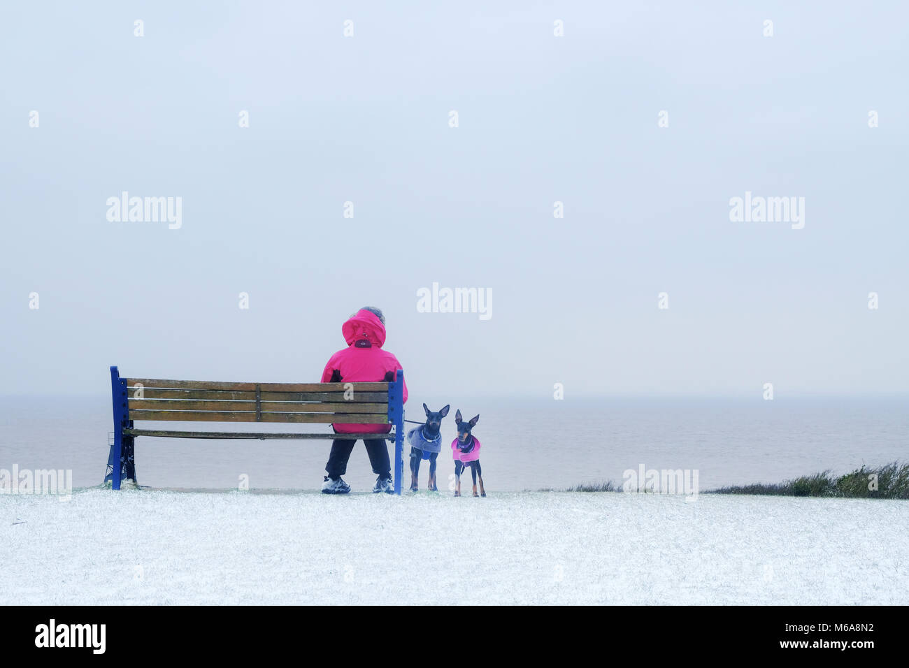 Portishead, Somerset, UK. 2. März, 2018. UK Wetter, Portishead, N. Somerset, Großbritannien Sturm Emma heute links tiefe Schneeverwehungen und eisigen Bedingungen in den Westen des Landes. Mehr Schnee ist für heute Nachmittag und eine gelbe Warnmeldung für mehr Schnee wird prognostiziert. Dieser Hund Walker nimmt eine Pause auf einer Bank in der Nähe der Küste Credit: Stephen Hyde/Alamy leben Nachrichten Stockfoto