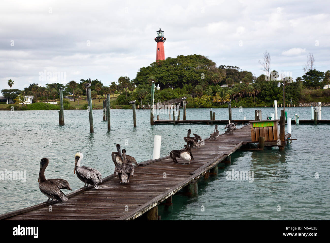 Blick auf Jupiter Leuchtturm, Florida Stockfoto