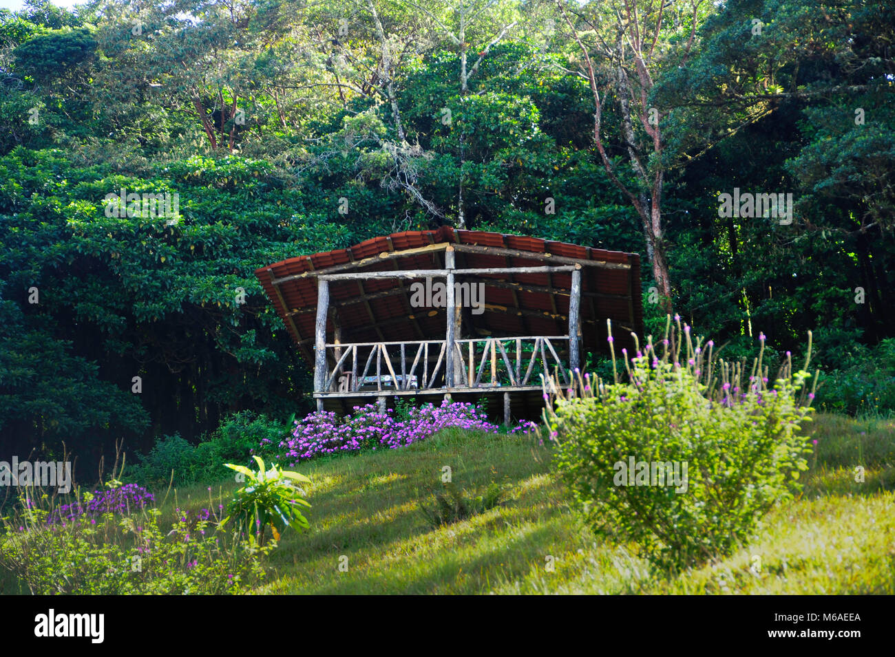 Yoga Hütte am Bosque Caricias, ein eigenes Ecological Reserve, in Concepción de San Isidro de Heredia entfernt. Stockfoto