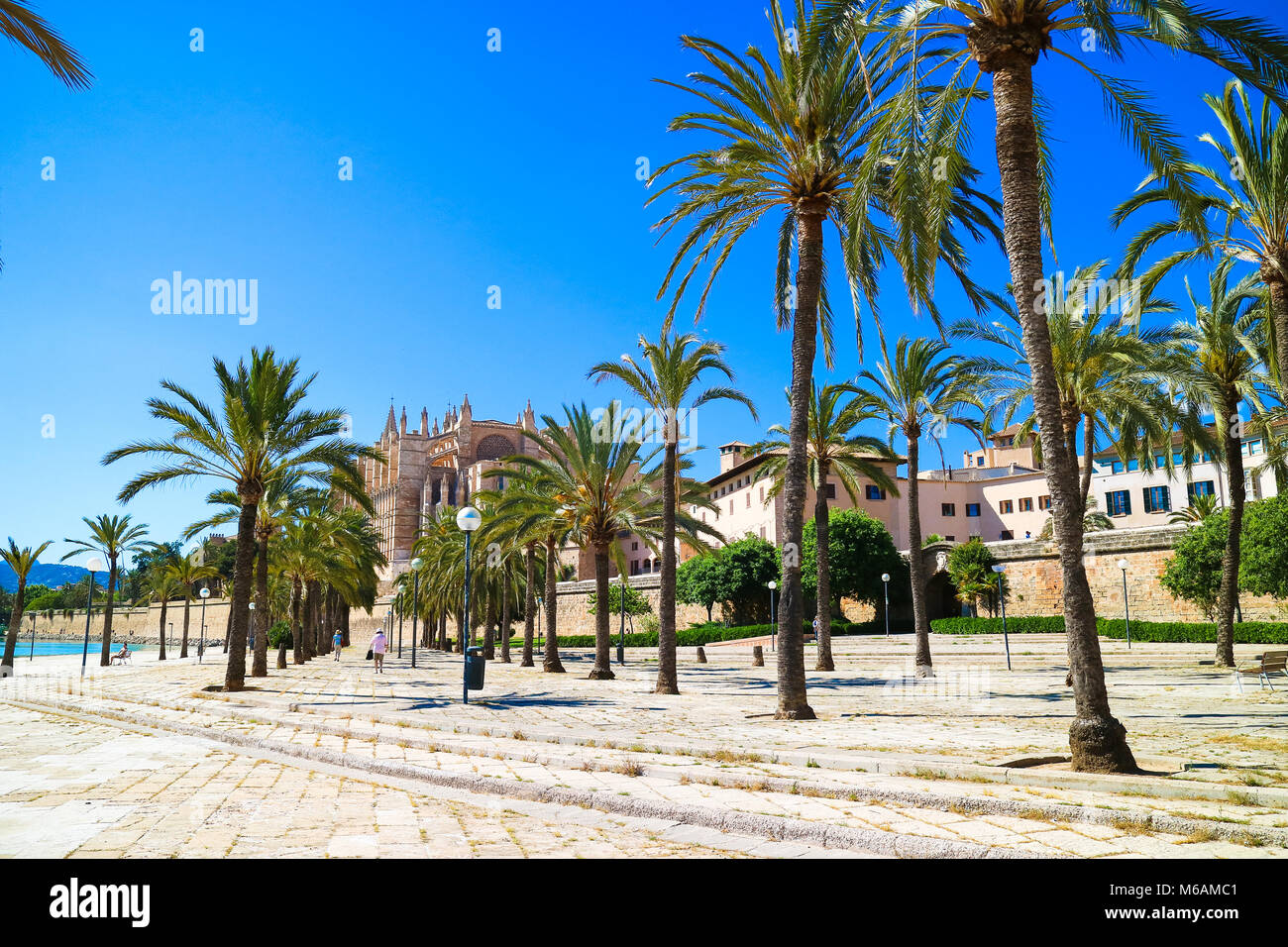 Palma de Mallorca, Spanien. Der Central Park mit Palmen im Sommer Stockfoto