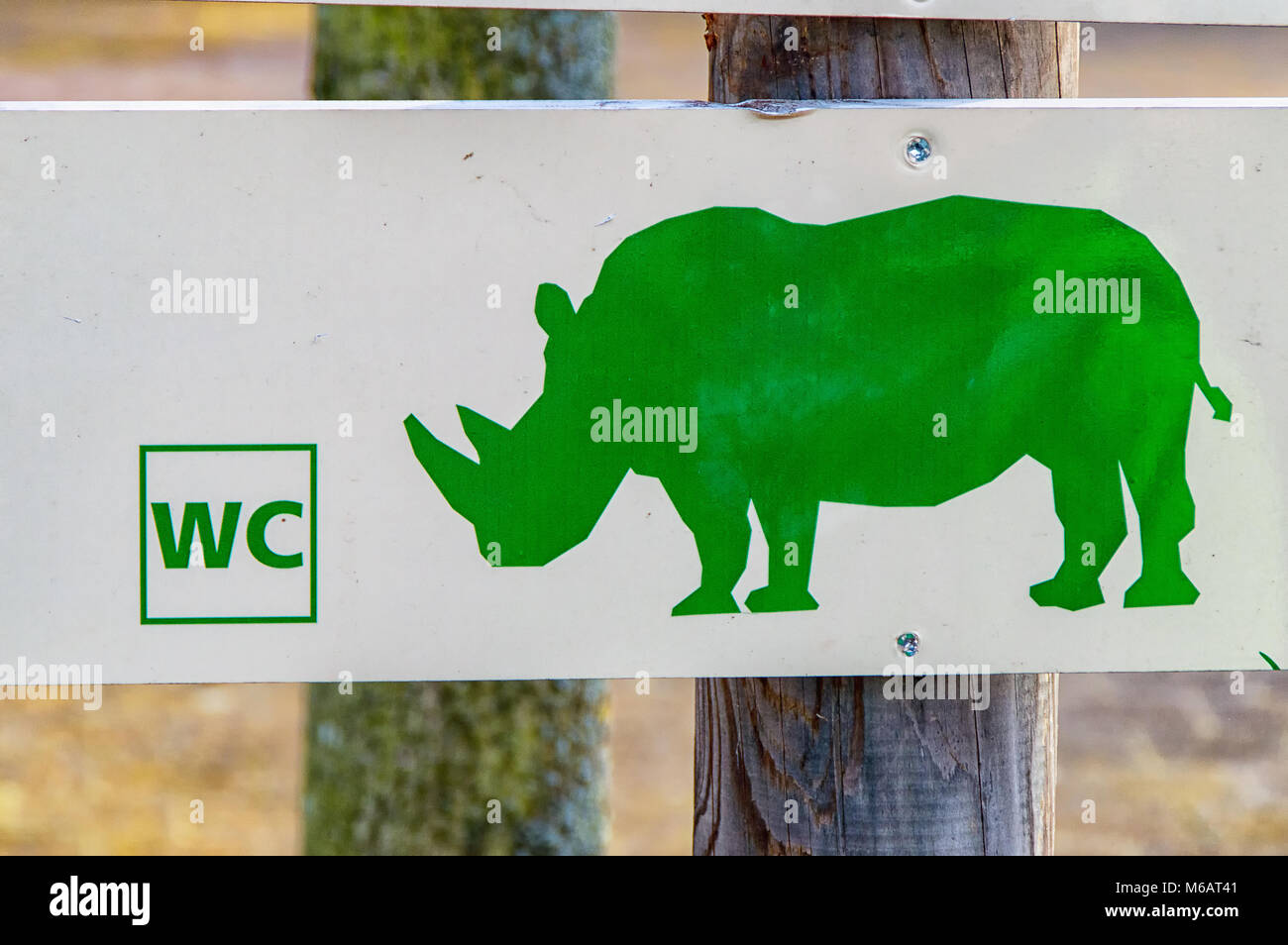 Das Nashorn und das WC auf einer Platte Stockfoto