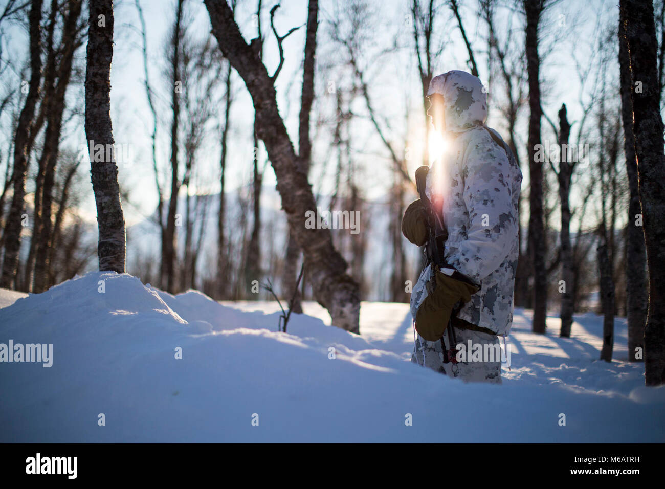 Marine mit Marine Rotational Force-Europe steht auf einer Sicherheit Post während ein Feld Ausbildung übung Teil der Übung weiß Claymore in der Nähe von Bardufoss, Norwegen, 14. Februar 2018. Weiß Claymore ist einer in Großbritannien Royal Marines - LED-Training in Nordnorwegen, auf Winter Kriegsführung, einschließlich Schulung auf Bewegung im negativen Terrain und über Schnee konzentriert, und die Ausbildung in defensive und offensive Operationen bei winterlichen Bedingungen. (U.S. Marine Corps Stockfoto