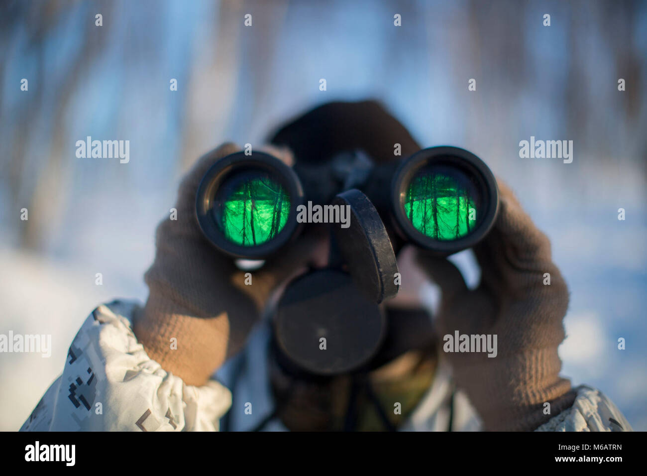 Marine mit Marine Rotational Force-Europe Uhren für einen Feind Patrouille während der Bereich Ausbildung übung Teil der Übung weiß Claymore in der Nähe von Bardufoss, Norwegen, 14. Februar 2018. Weiß Claymore ist einer in Großbritannien Royal Marines - LED-Training in Nordnorwegen, auf Winter Kriegsführung, einschließlich Schulung auf Bewegung im negativen Terrain und über Schnee konzentriert, und die Ausbildung in defensive und offensive Operationen bei winterlichen Bedingungen. (U.S. Marine Corps Stockfoto