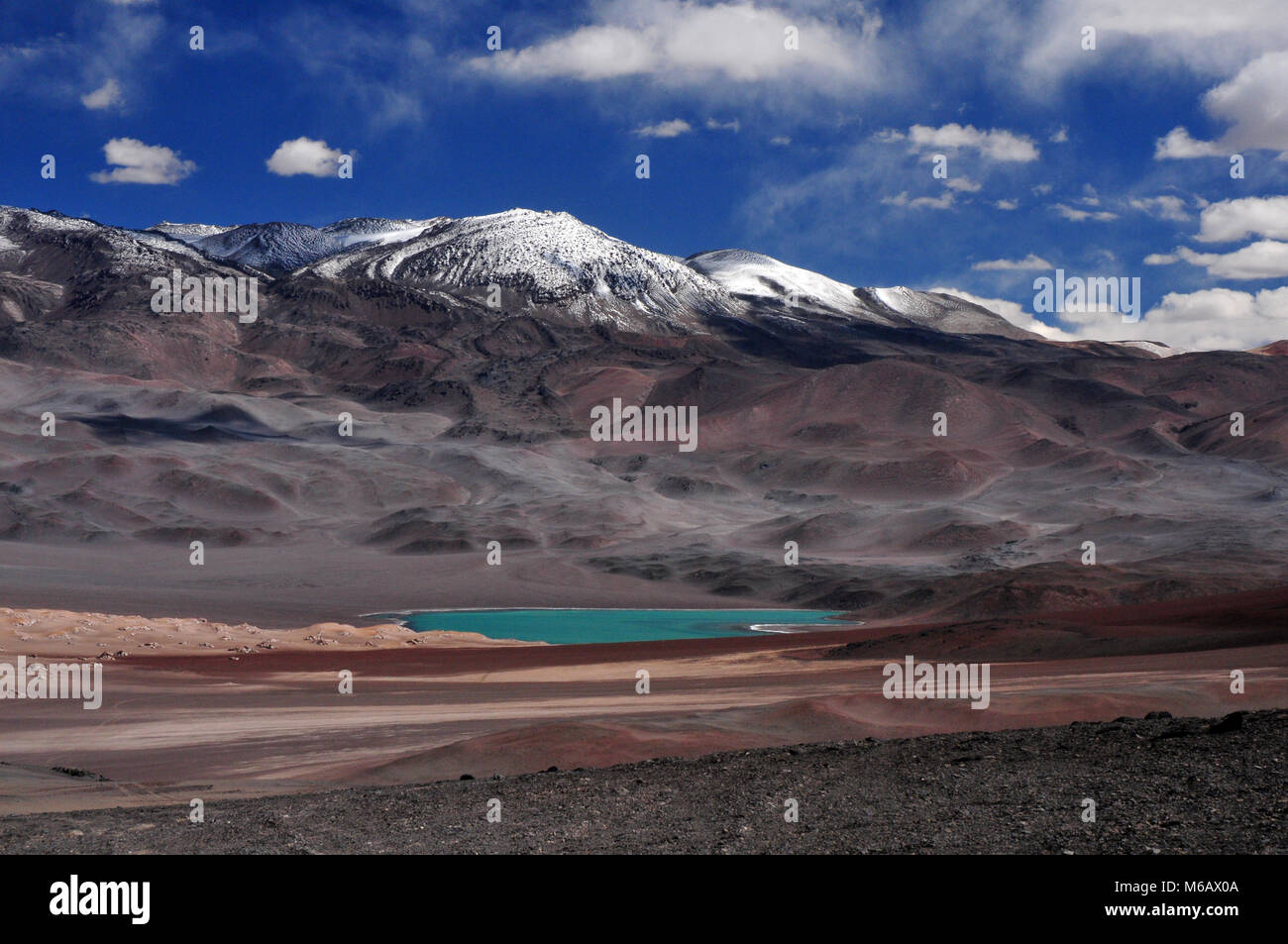Hochland-Lagunen, Atacama-Wüste, Chile Stockfoto