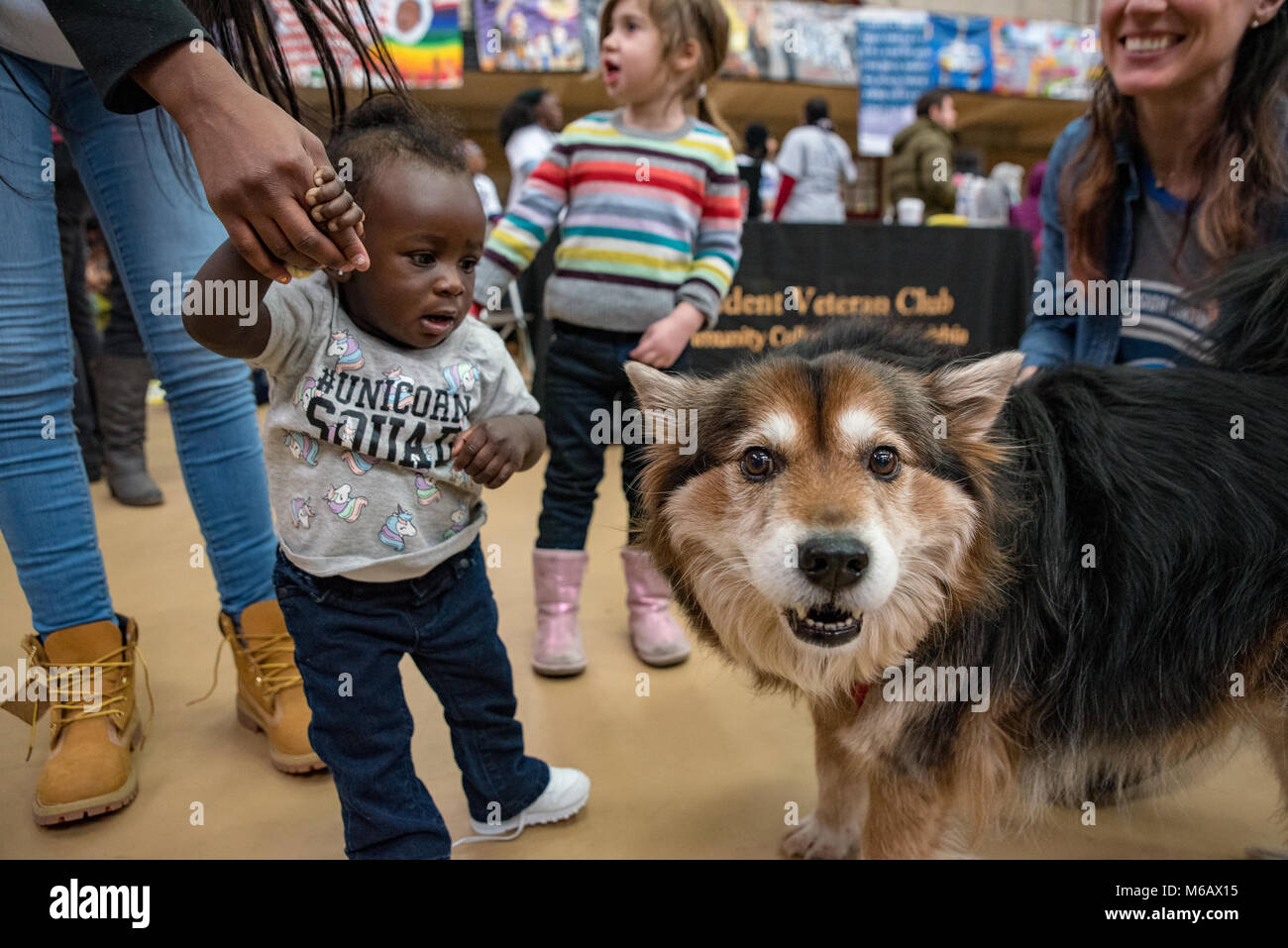Philadelphia, Pennsylvania/USA: Morgan, 1 Jahr, und Kaila der Hund treffen sich in der Girard College Gymnasium auf MLK-Tag. 15. Januar 2018. Stockfoto