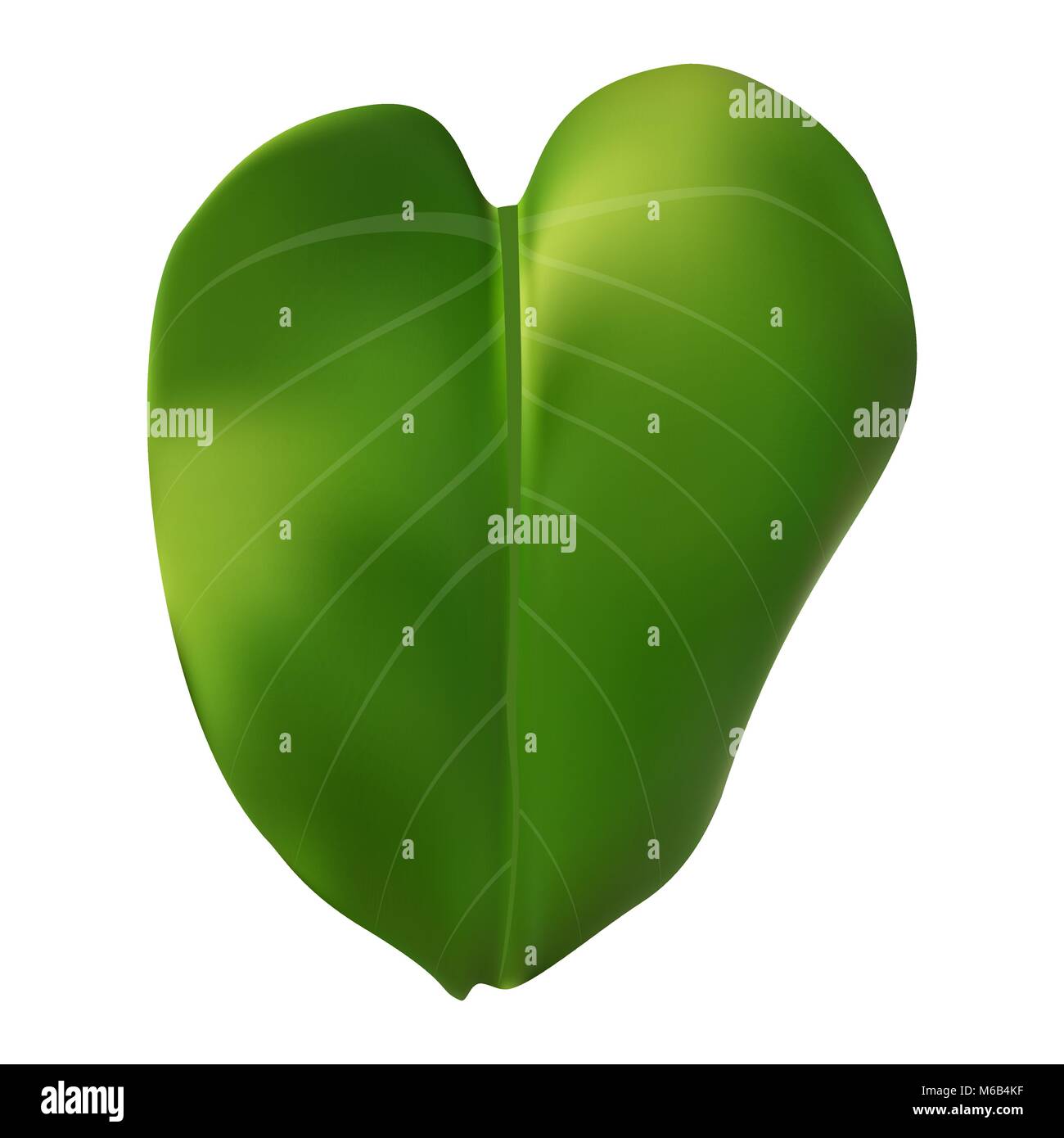 Bunte naturalistischen grüne Blätter am Zweig. Vector Illustration. Stock Vektor