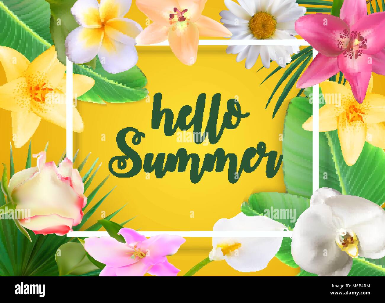 Hallo Sommer natürlichen Blumenkarte mit Frame-Vektor-Illustration Stock Vektor