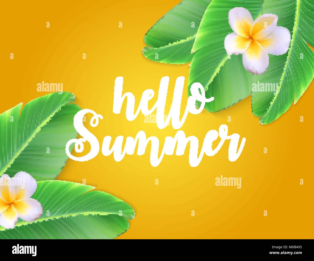 Hallo Sommer natürlichen Blumenkarte mit Frame-Vektor-Illustration Stock Vektor