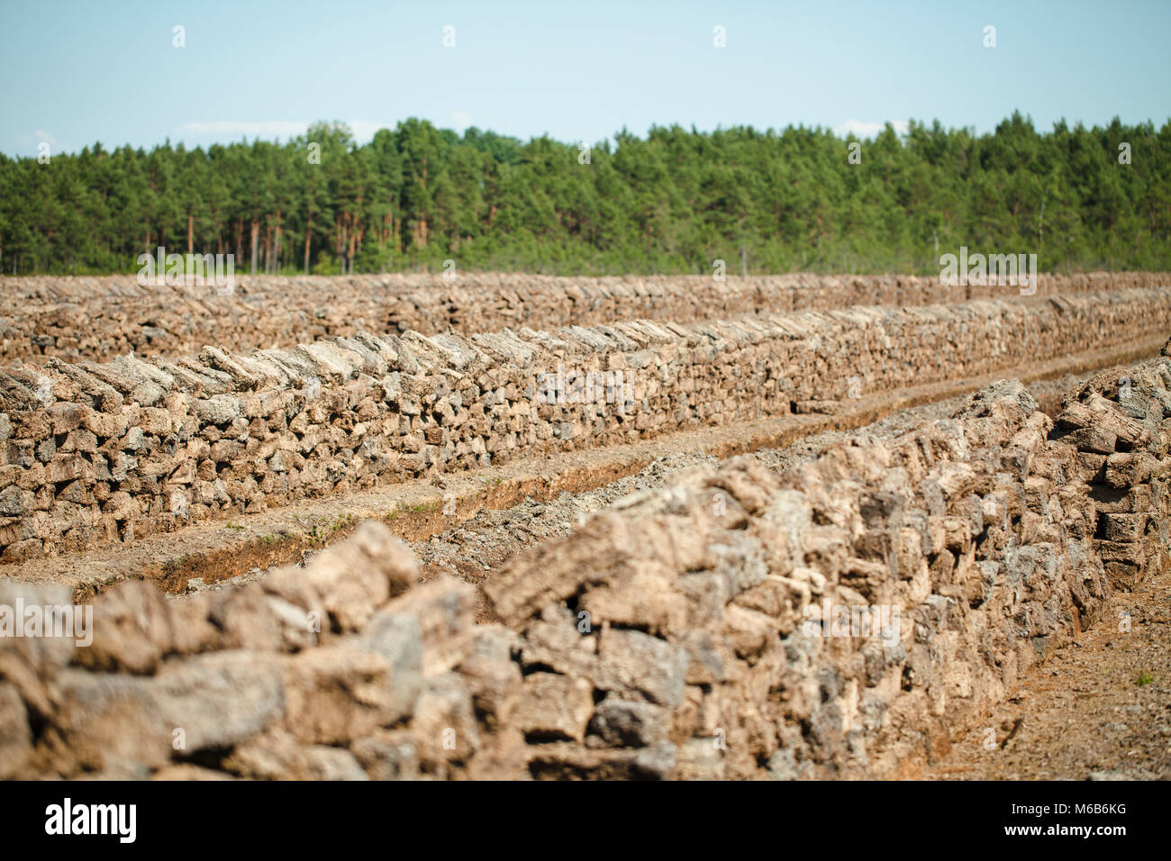 Torf Felder. Stockfoto