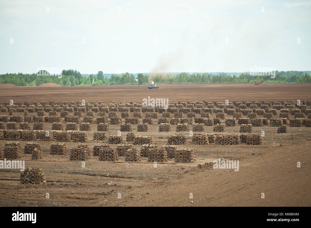 Torf Felder. Stockfoto