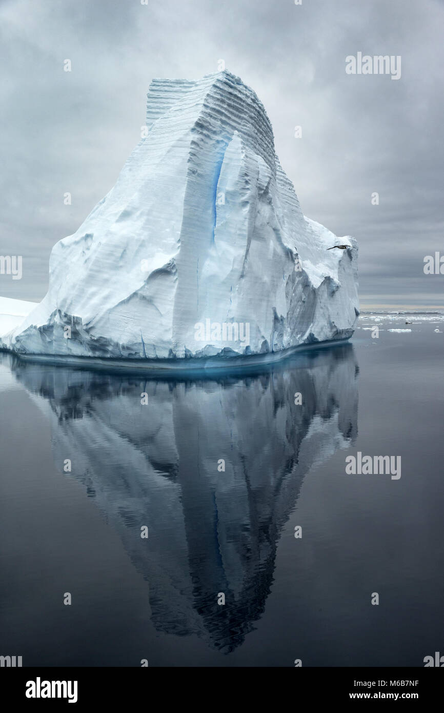Eisberg in der Antarktis Stockfoto