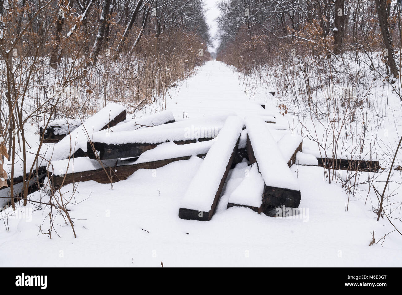 Die ausgebauten alten, verlassenen Bahntrasse im Winter Wald. Ein Bündel von Schwellen unter dem Schnee Stockfoto