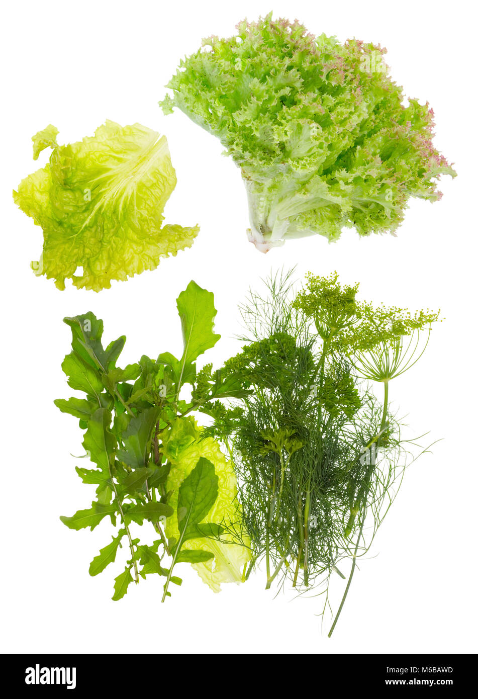 Frischer Salat, Dill, Petersilie und Rucola. Isolierte Top View Studio shot Stockfoto