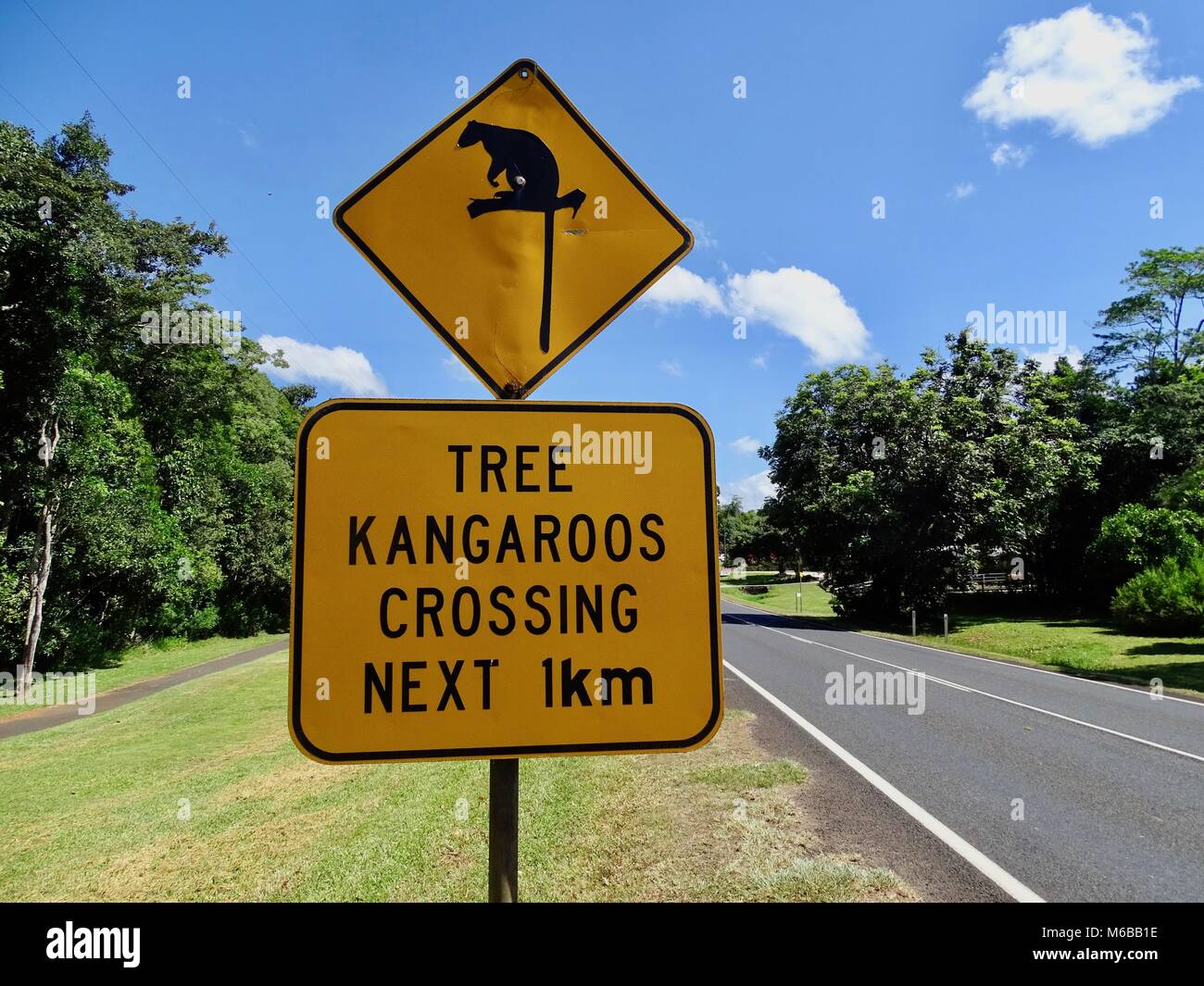 Warnschild an Autofahrer, dass es seltene Baum Kängurus kann über die Straße in den nächsten Kilometer Stockfoto