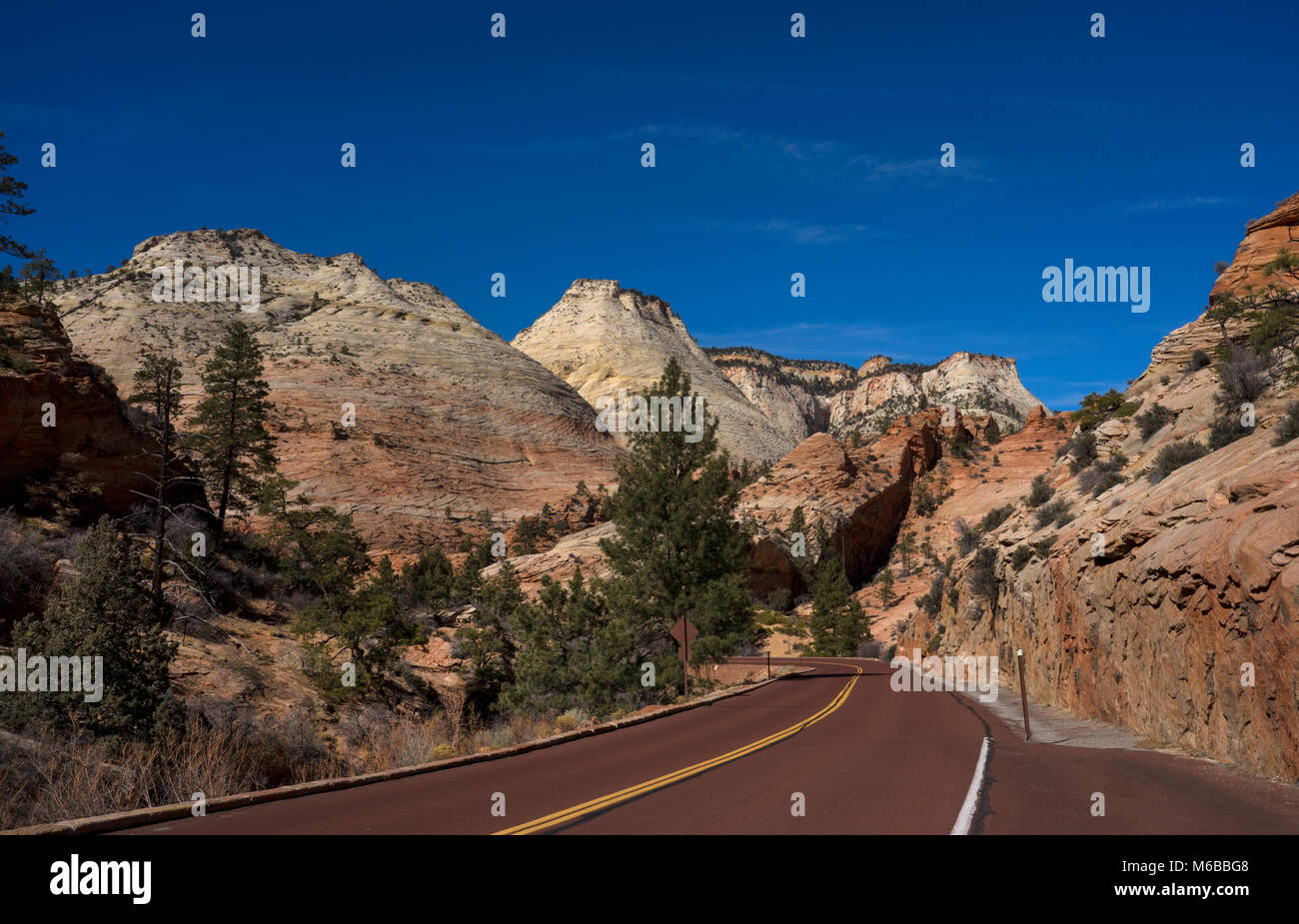 Zion National Park, Utah, Vereinigte Staaten von Amerika Stockfoto