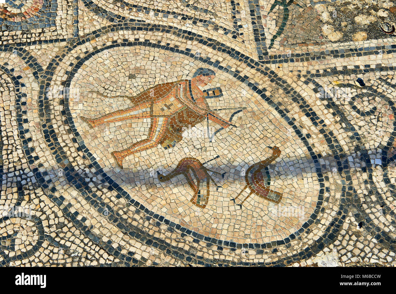 Römische Mosaik eines Jägers. Volubilis Archäologische Stätte, in der Nähe von Meknes, Marokko Stockfoto
