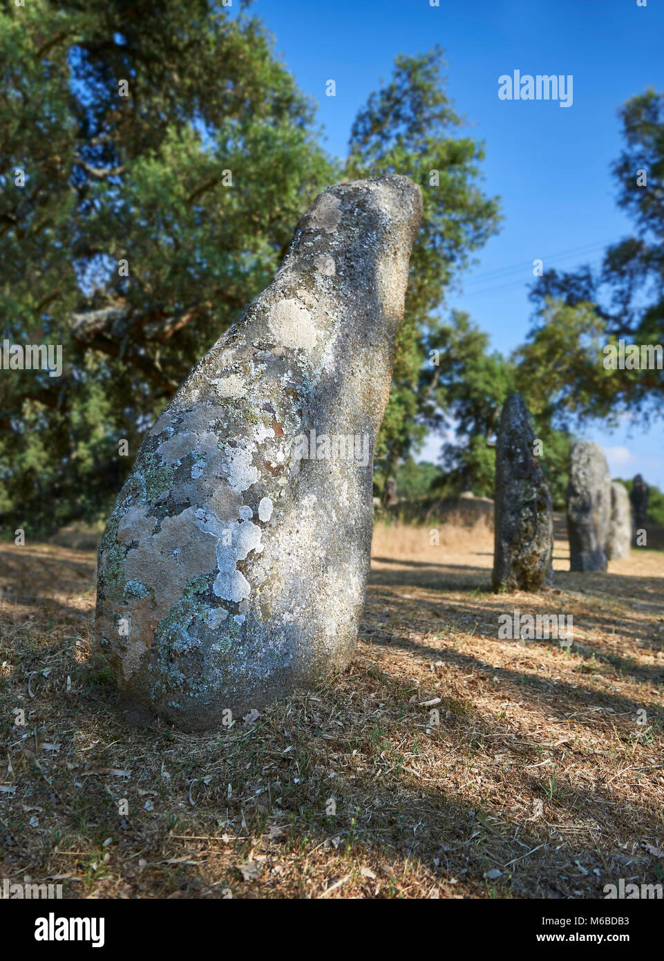 Fotos & Bilder von prähistorischen Kupfer alter Proto anthropomorphen Standing Stone statue Menhire in der biru' e Concas archaeolological Ort, Sorgono, Stockfoto