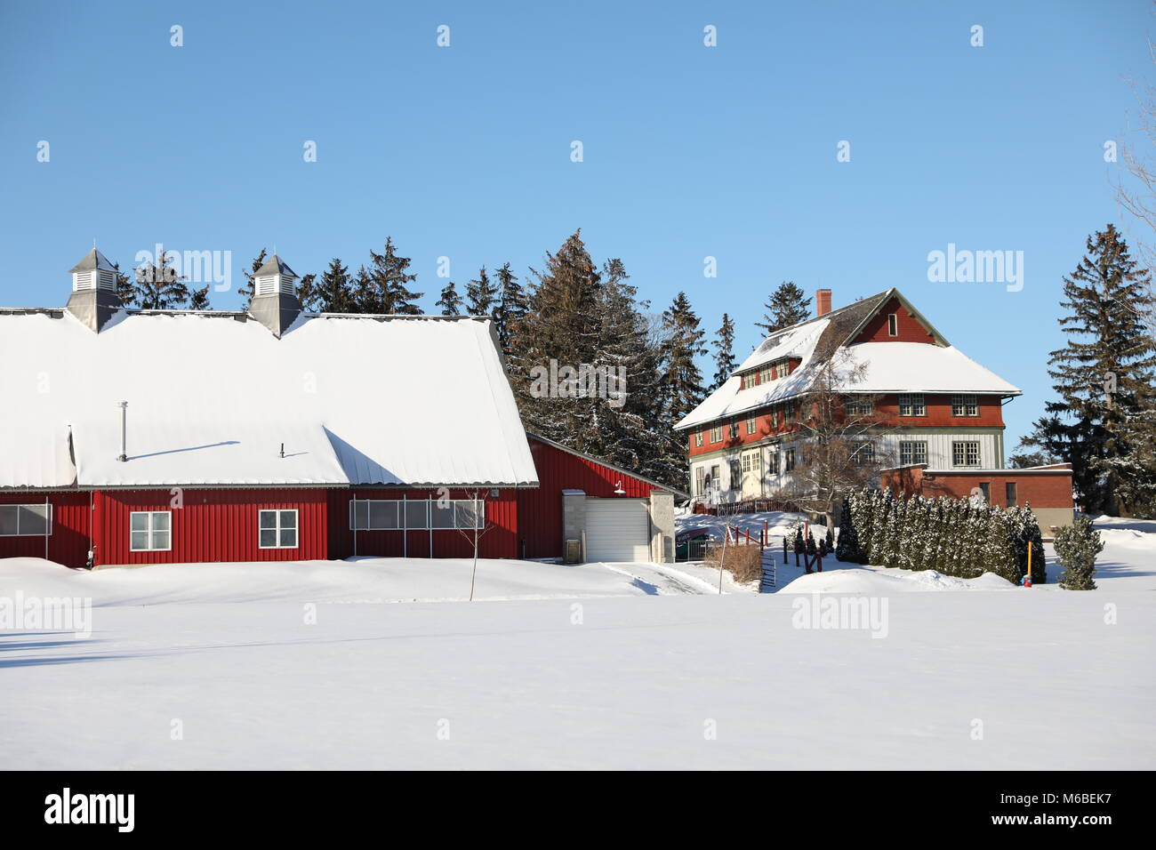 Bauernhof in einem sonnigen Wintertag Stockfoto