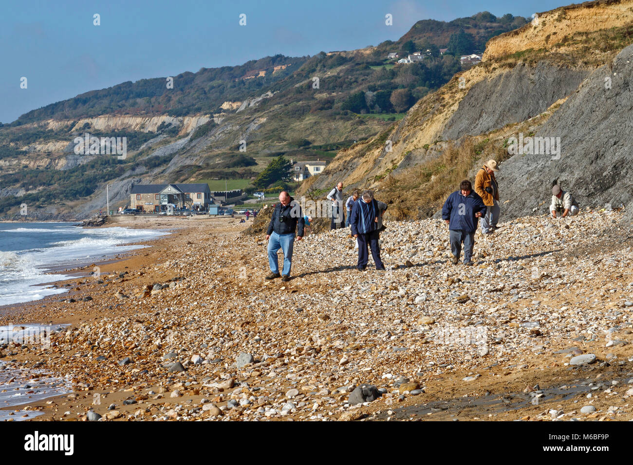 Fossiliensuche am Strand von Charmouth. Die Jurassic Coast ist ein Weltkulturerbe an der englischen Kanalküste im Süden von England. Stockfoto