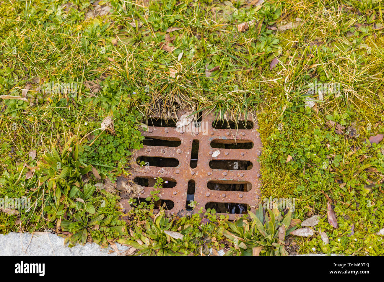 Gitterrost für Abwasser auf grünem Gras Hintergrund Stockfoto