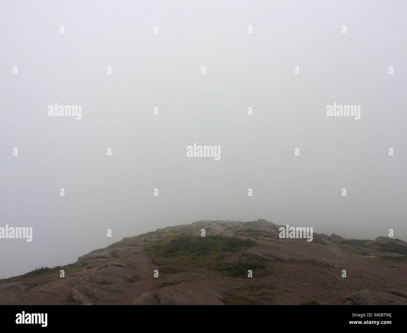 Neufundland Fotografie Stockfoto