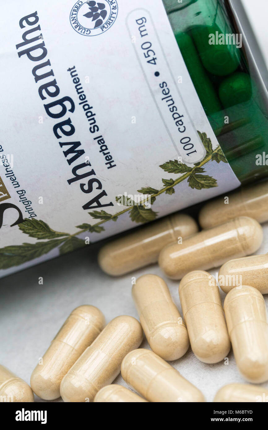 Ashwagandha Kapseln, Traditionell angewendet als Kräutermedizin & häufig in Pulver zur Verfügung gel Kapseln gefüllt. Stockfoto