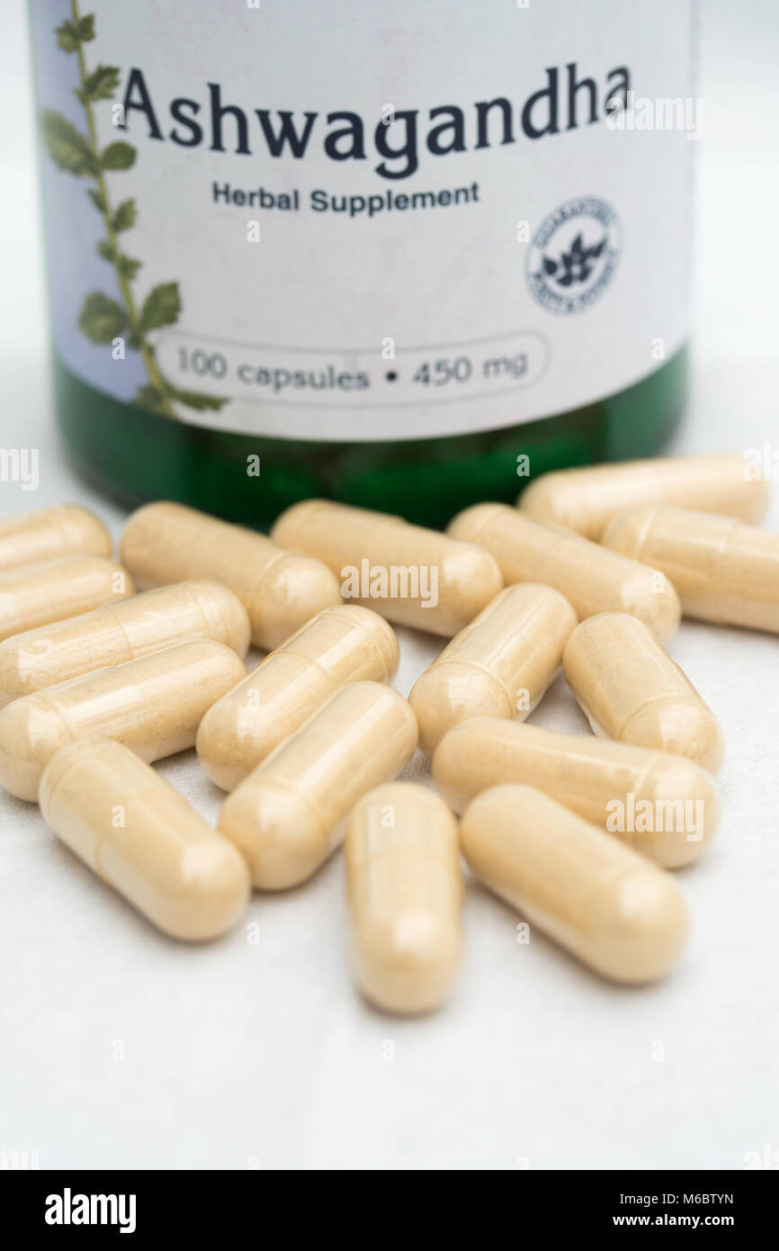 Ashwagandha Kapseln, Traditionell angewendet als Kräutermedizin & häufig in Pulver zur Verfügung gel Kapseln gefüllt. Stockfoto