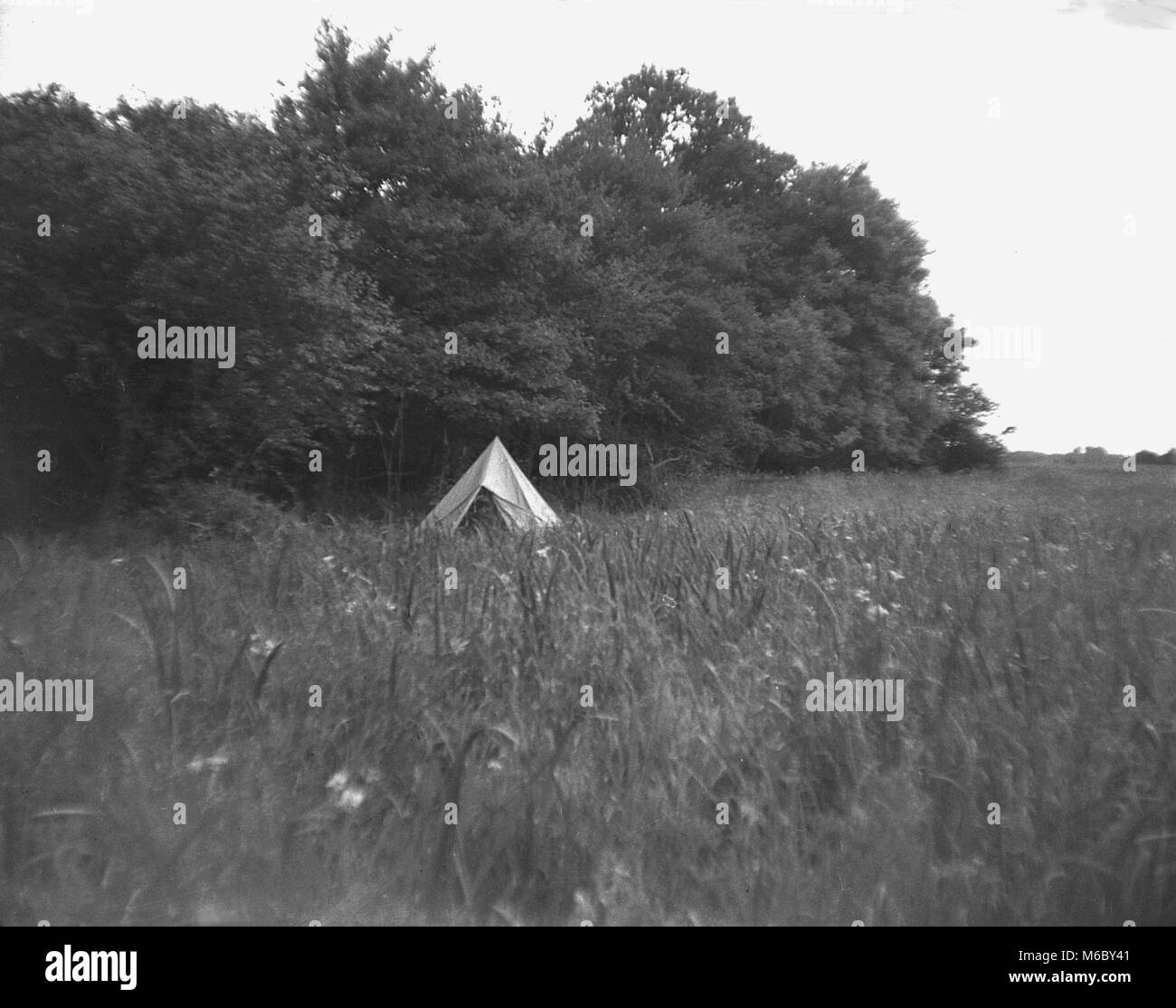 1960s, historisch, ein traditionelles Leinenzelt, geformt wie ein Wigwam, saß auf einem Rasen umgeben von Wald, England, Großbritannien. Stockfoto