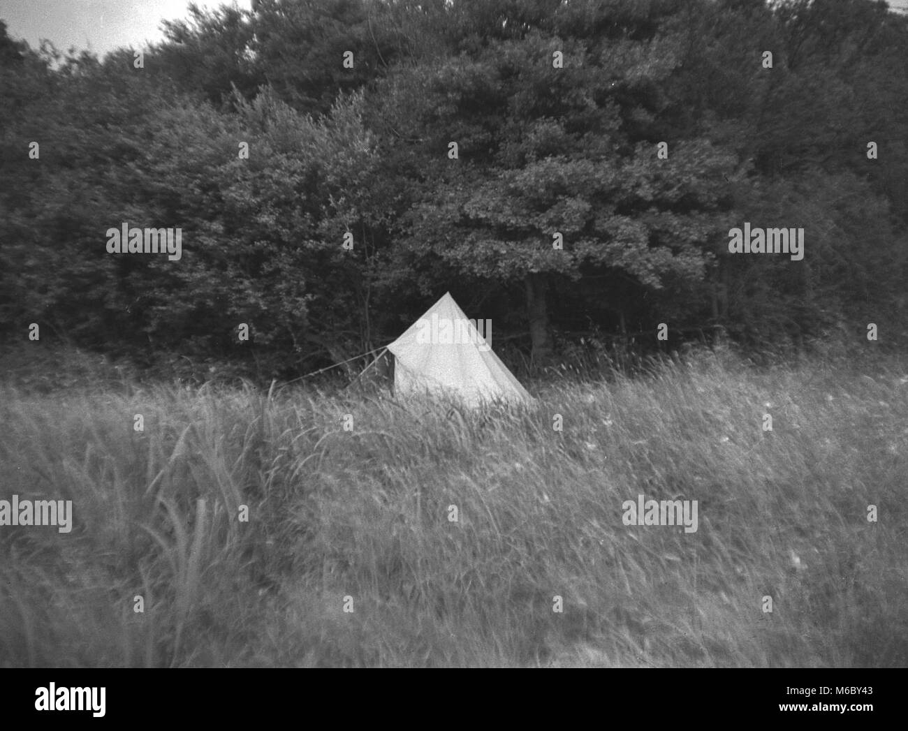 1960s, historisch, ein traditionelles Leinenzelt, geformt wie ein Wigwam, saß auf einem Rasen umgeben von Wald, England, Großbritannien. Stockfoto