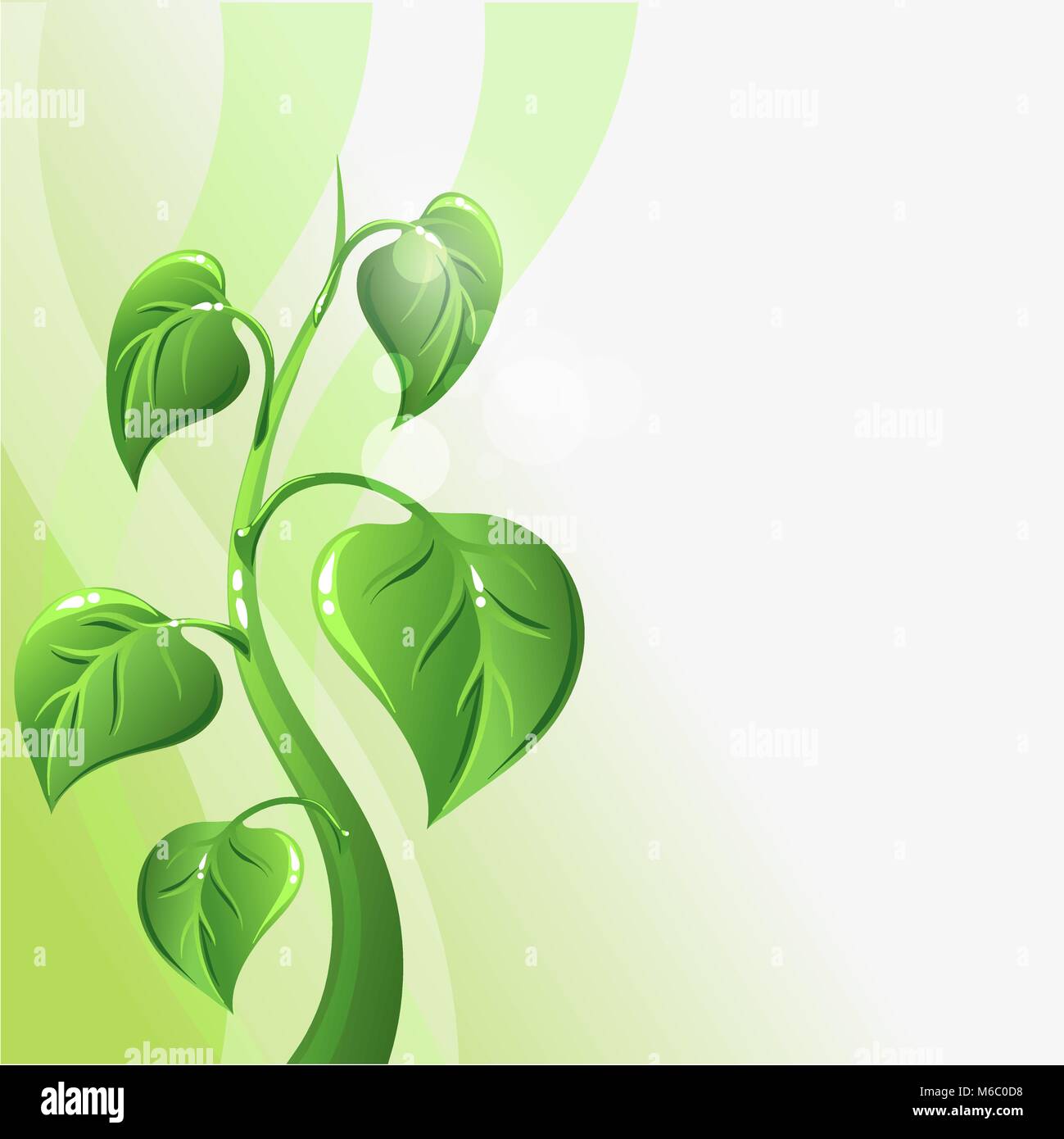 Grün sprießen mit Blättern und Copyspace für Ihren Text Stock Vektor