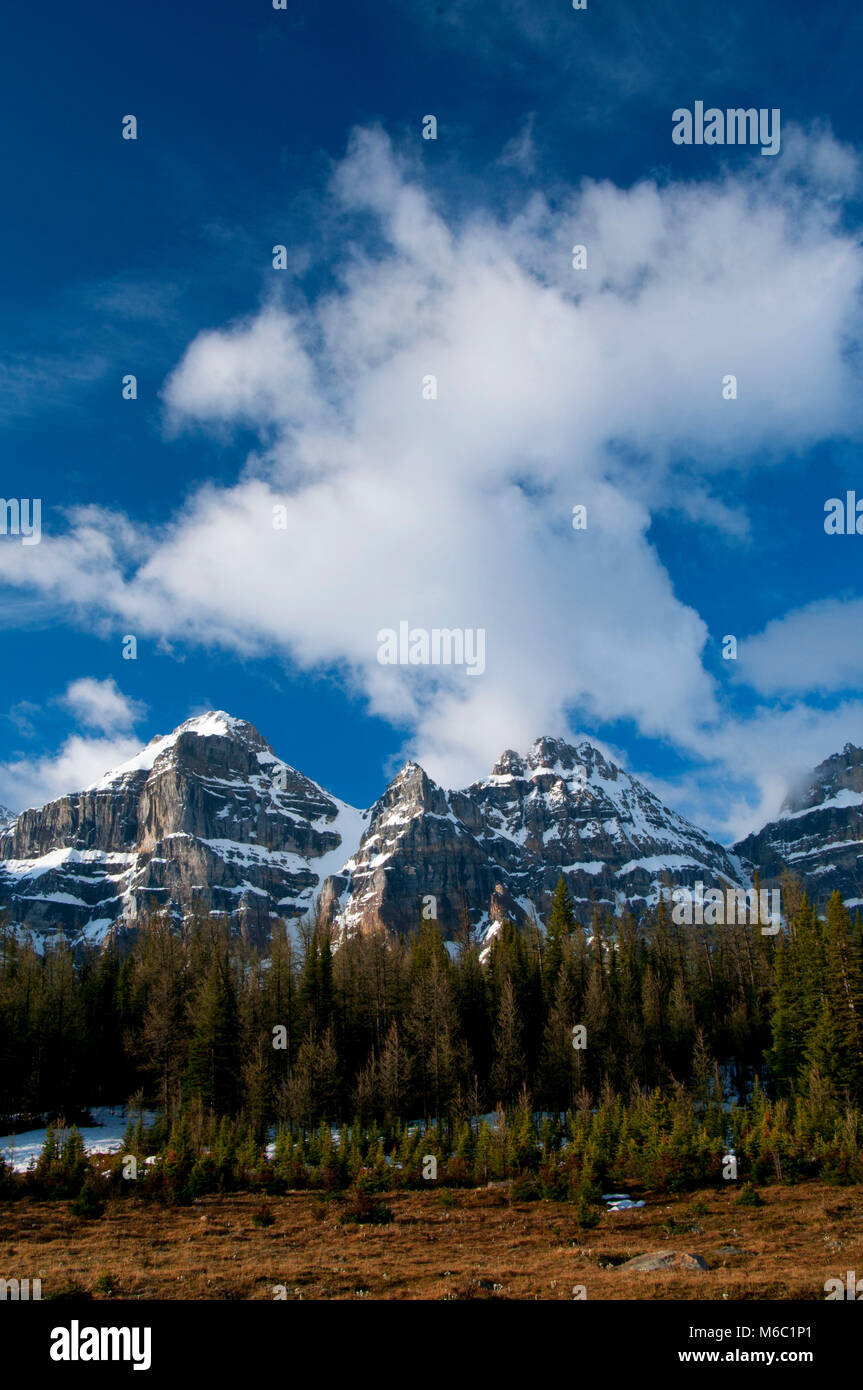 Wenkchemna Gipfel aus Lärche Valley, Banff Nationalpark, Alberta, Kanada Stockfoto