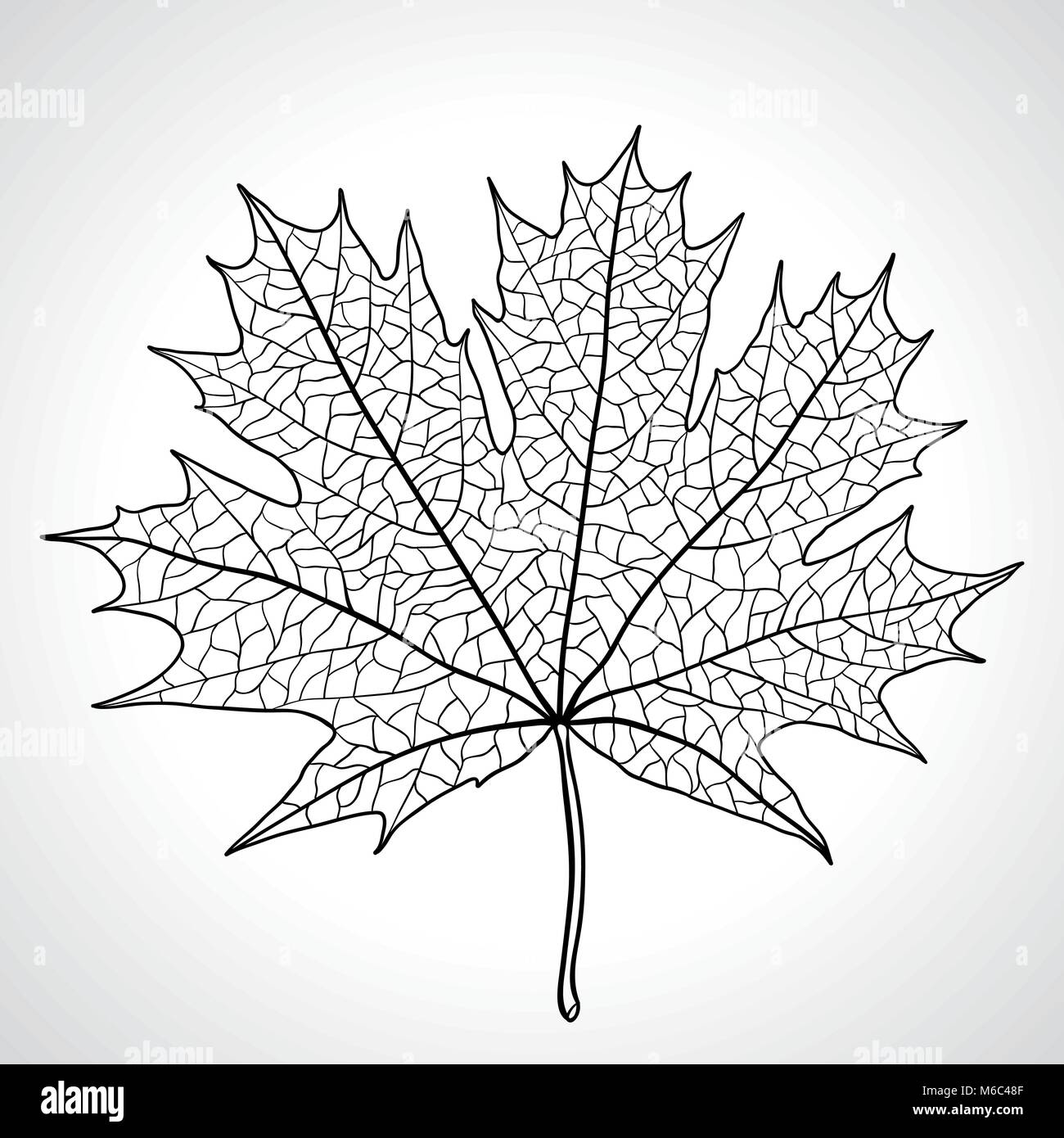 Blatt eines Ahorn, natur symbol monochromen Vector Stock Vektor