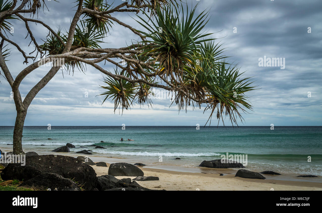 Noosa Beach-Queensland-Australien Stockfoto