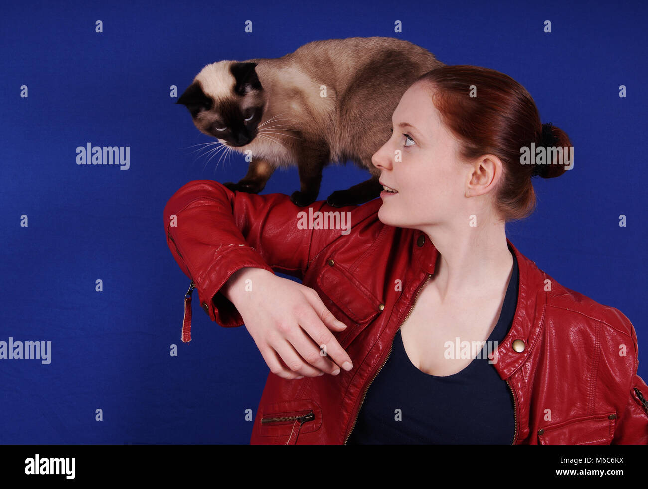 Junge Frau mit Katze auf dem Arm Stockfoto