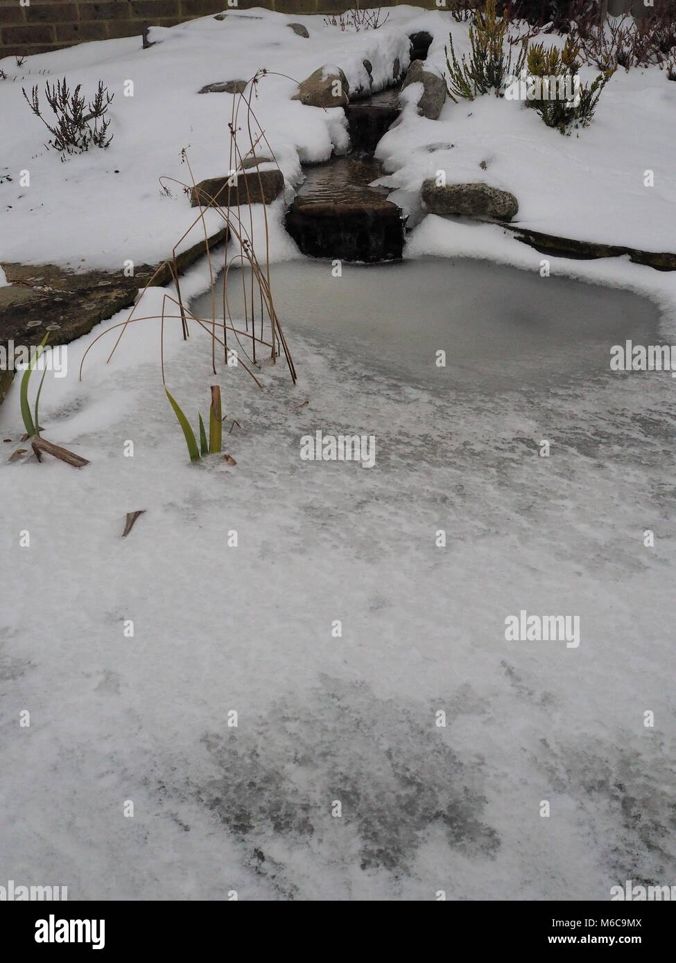Gartenteich mit wasserfall Fotos und Bildmaterial in hoher Auflösung
