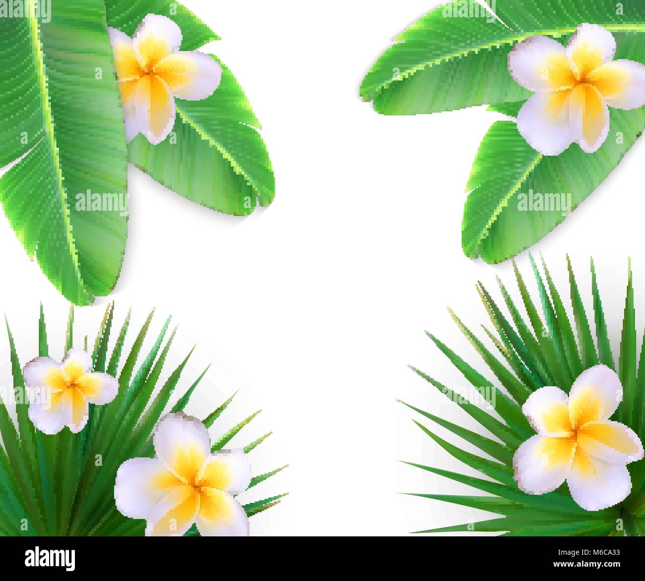 Hallo Sommer natürliche Floral Background Vektor Illustration Stock Vektor