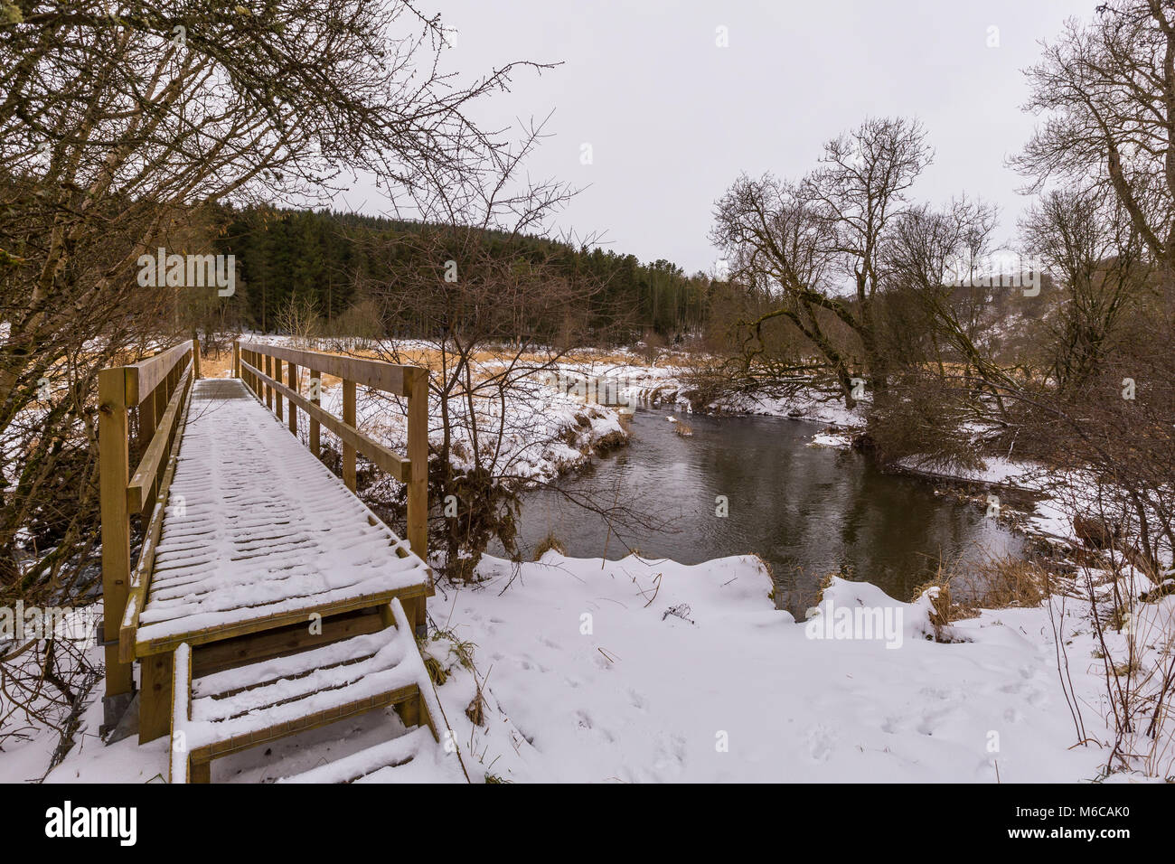 Fußgängerbrücke über den Fluss Ythan an braes von Gight Methlick, Holz in der Nähe von Aberdeenshire, Schottland Stockfoto