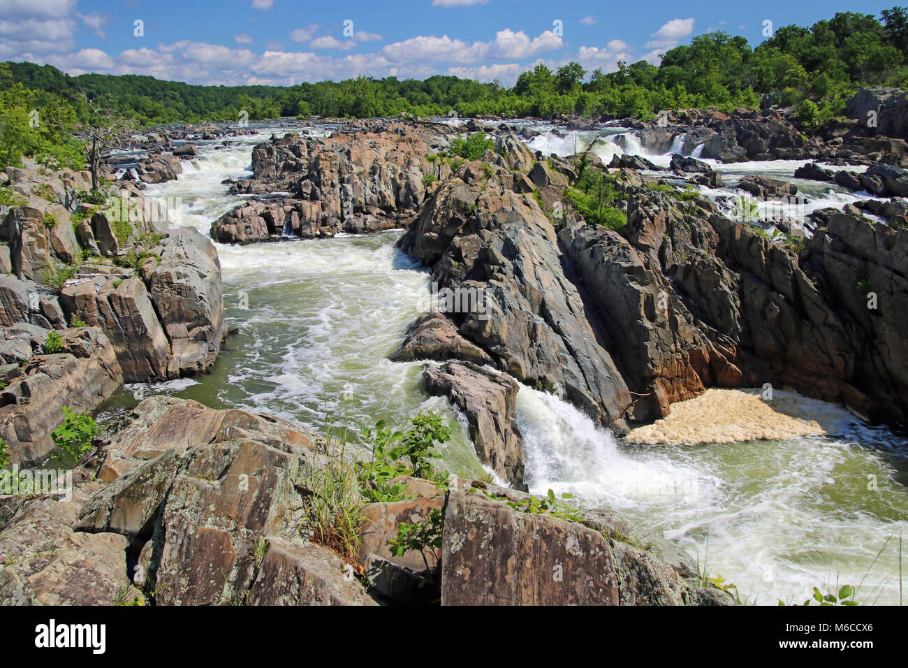 Great Falls auf dem Potomac River Stockfoto