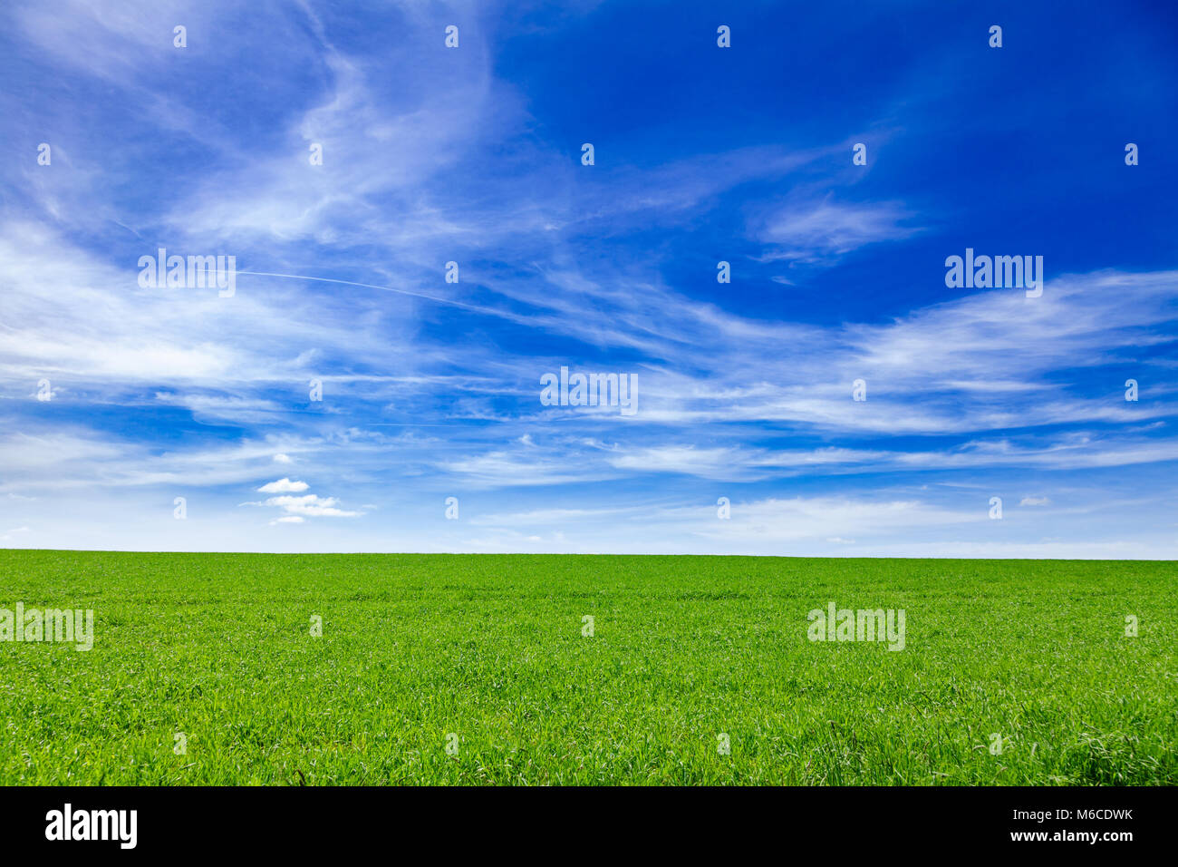 Idyllischen englischen Landschaft mit SCENIC Green Feld unter einem blauen Sommerhimmel im südlichen England Großbritannien Stockfoto