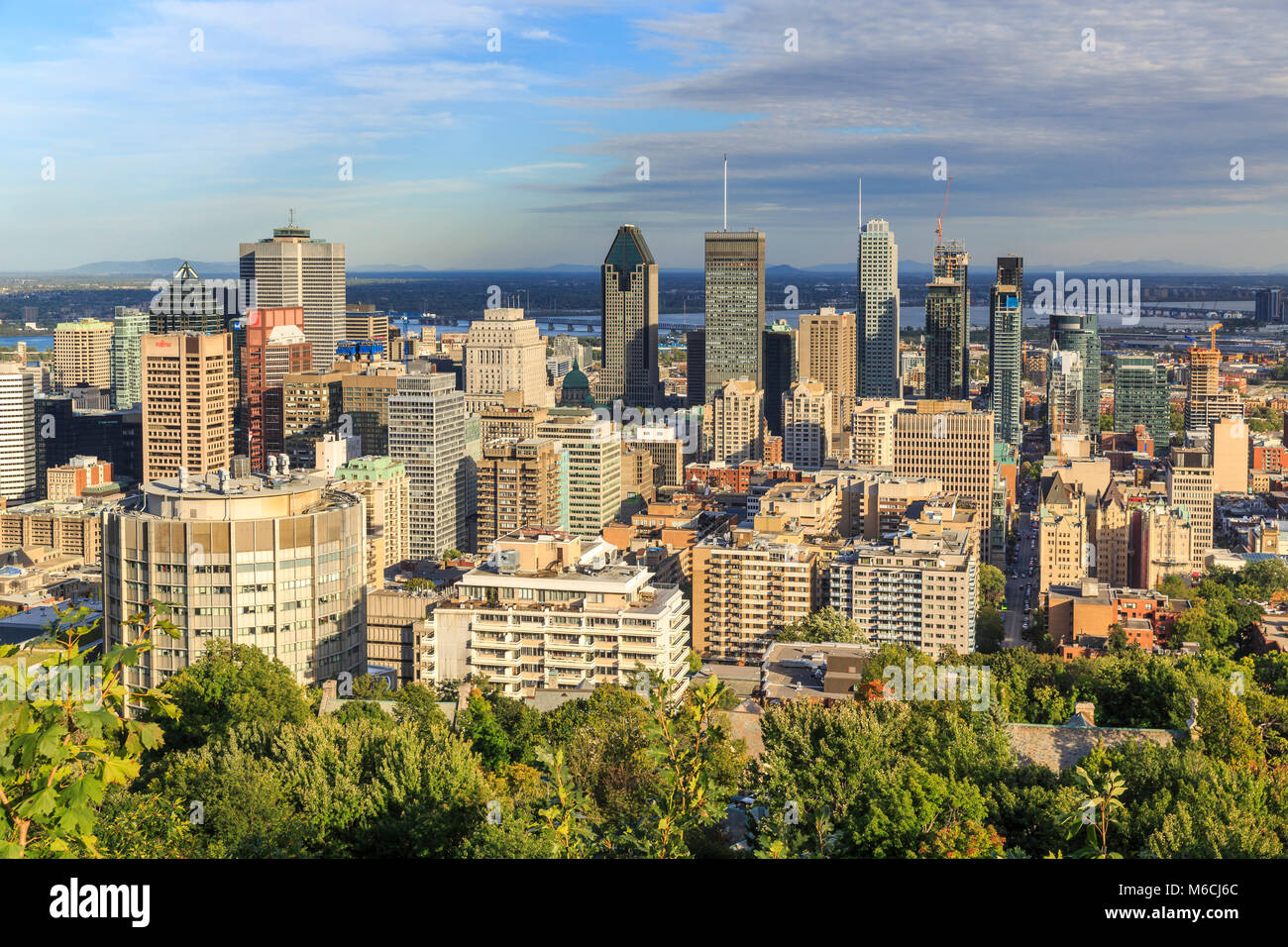 Stadtbild, Blick vom Mont Royal, Montreal, Québec, Kanada Stockfoto
