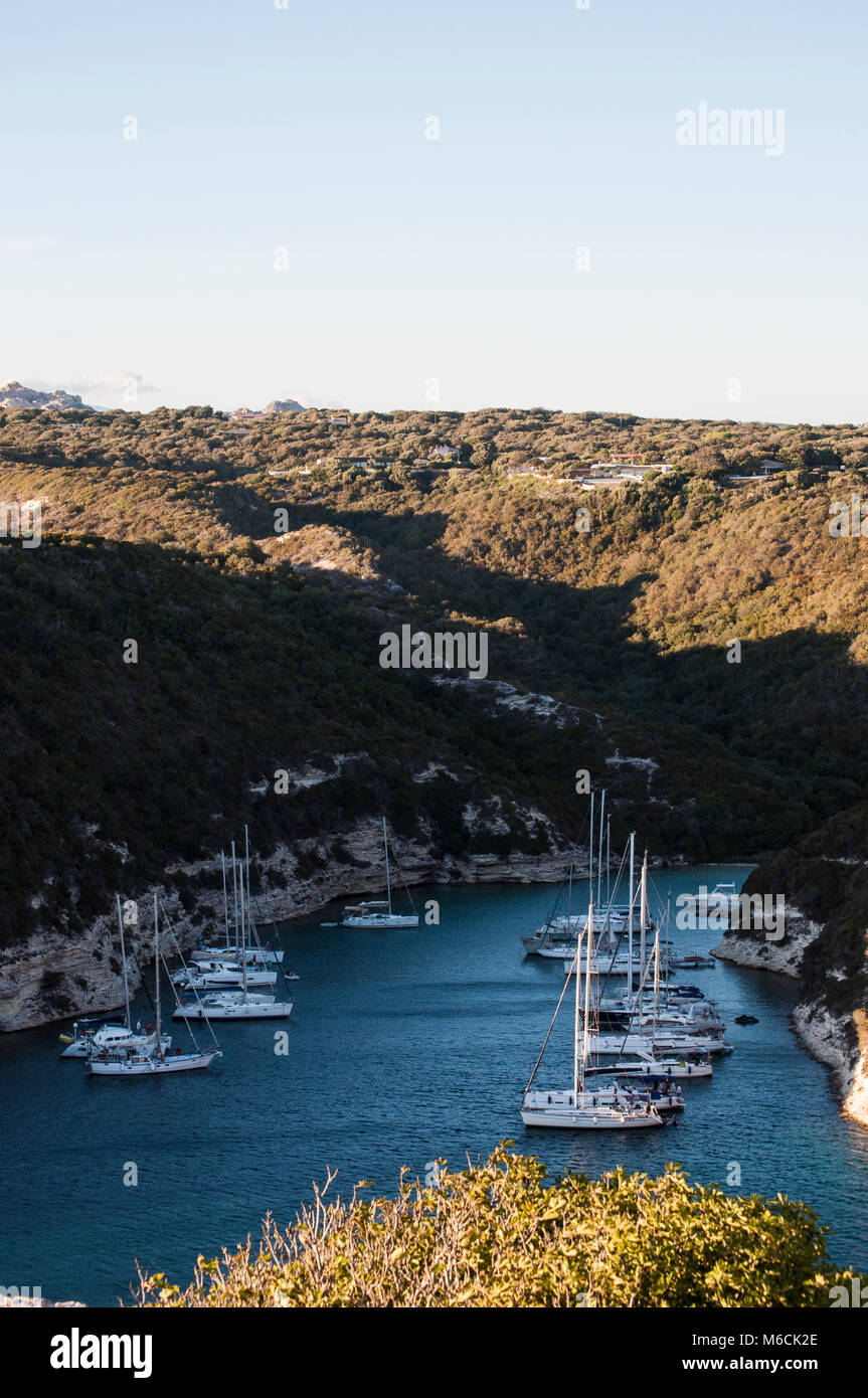 Korsika: Segelboote und Yachten im Hafen der Altstadt von Bonifacio, in der Bucht von Figari, einem ertrunken Schlucht ein Fjord - wie Aussehen gelegt Stockfoto