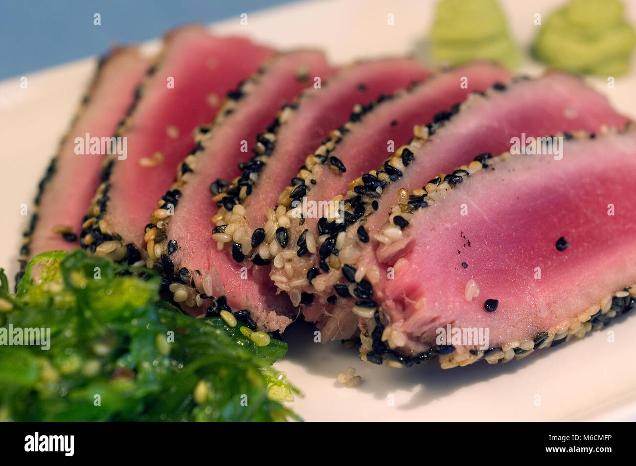 Sesam verkrustete Ahi-thunfisch Vorspeise zu einem Cape Cod Restaurant Stockfoto